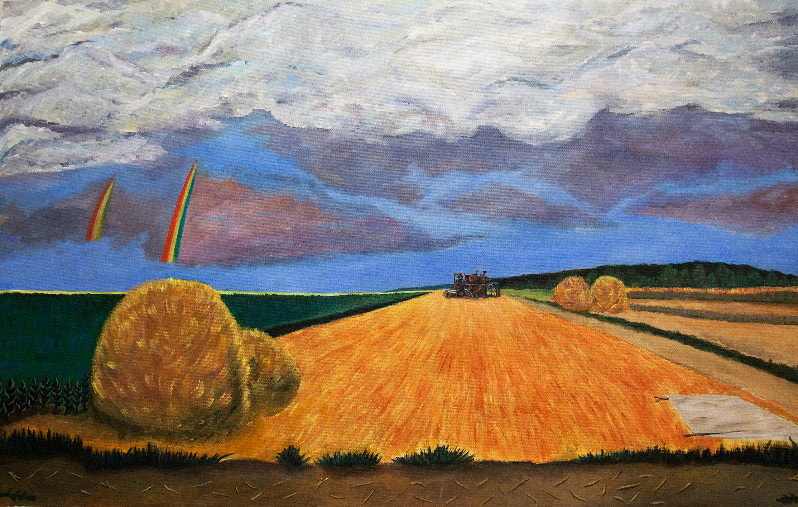 Title: Pavlovka Material: Acrylic on canvas Size: 85 x 140 cm Year: 2016