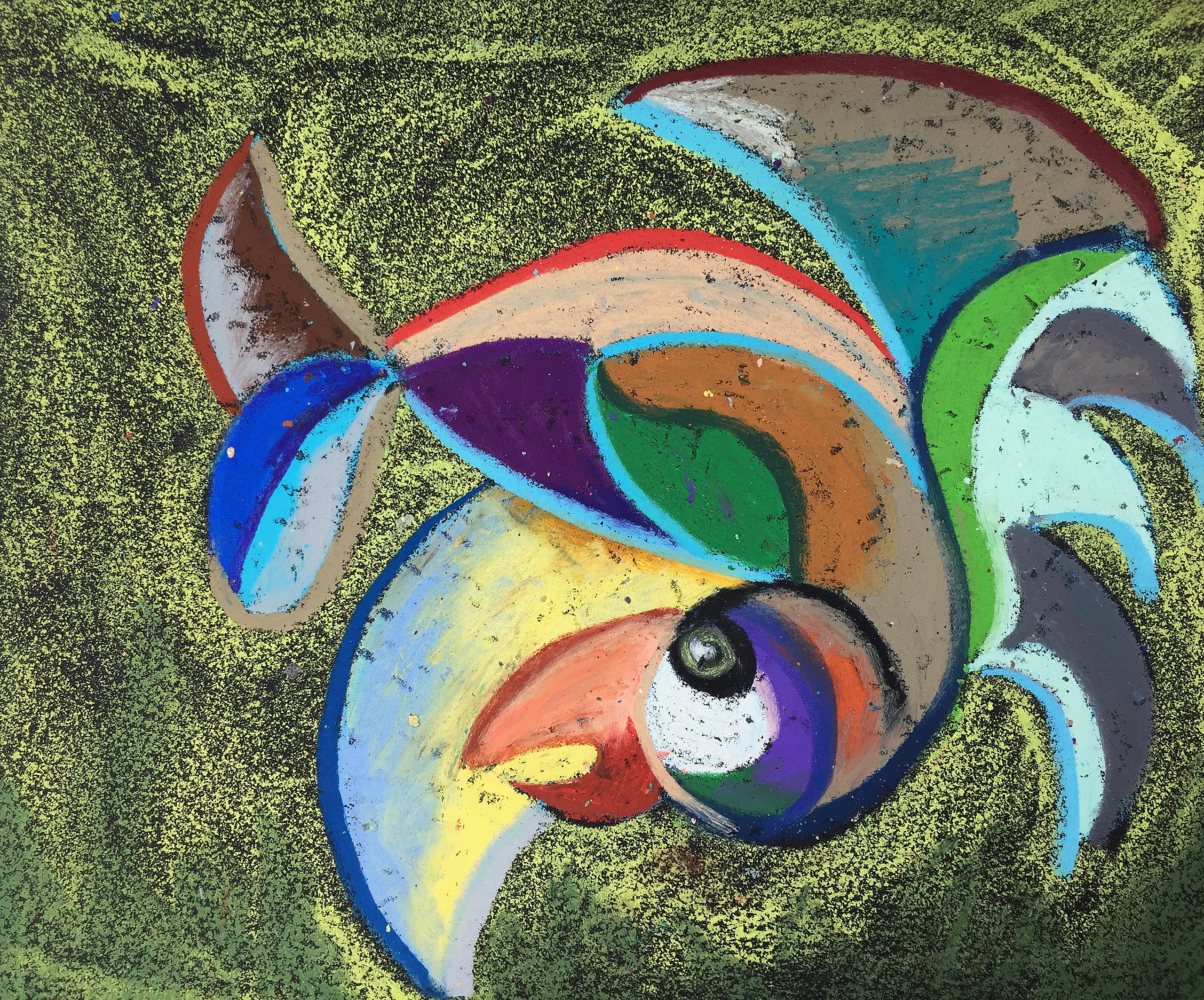 Title: Blue-Yellow Macaw Medium: Oil pastel on paper Size: 23 x 28 cm Year: 2019