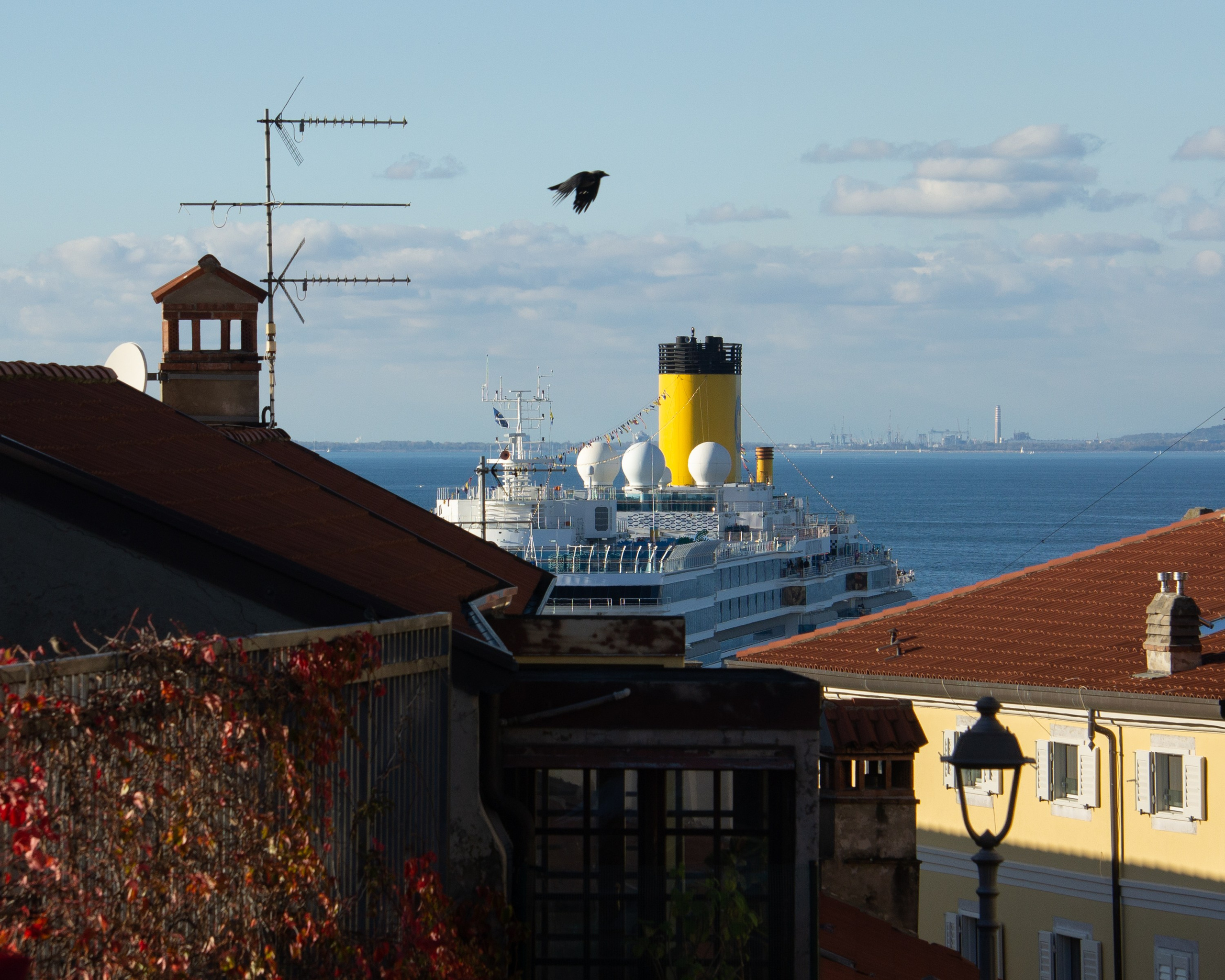 Trieste my love. Fotografo Alina Imanbaeva Trieste e FVG