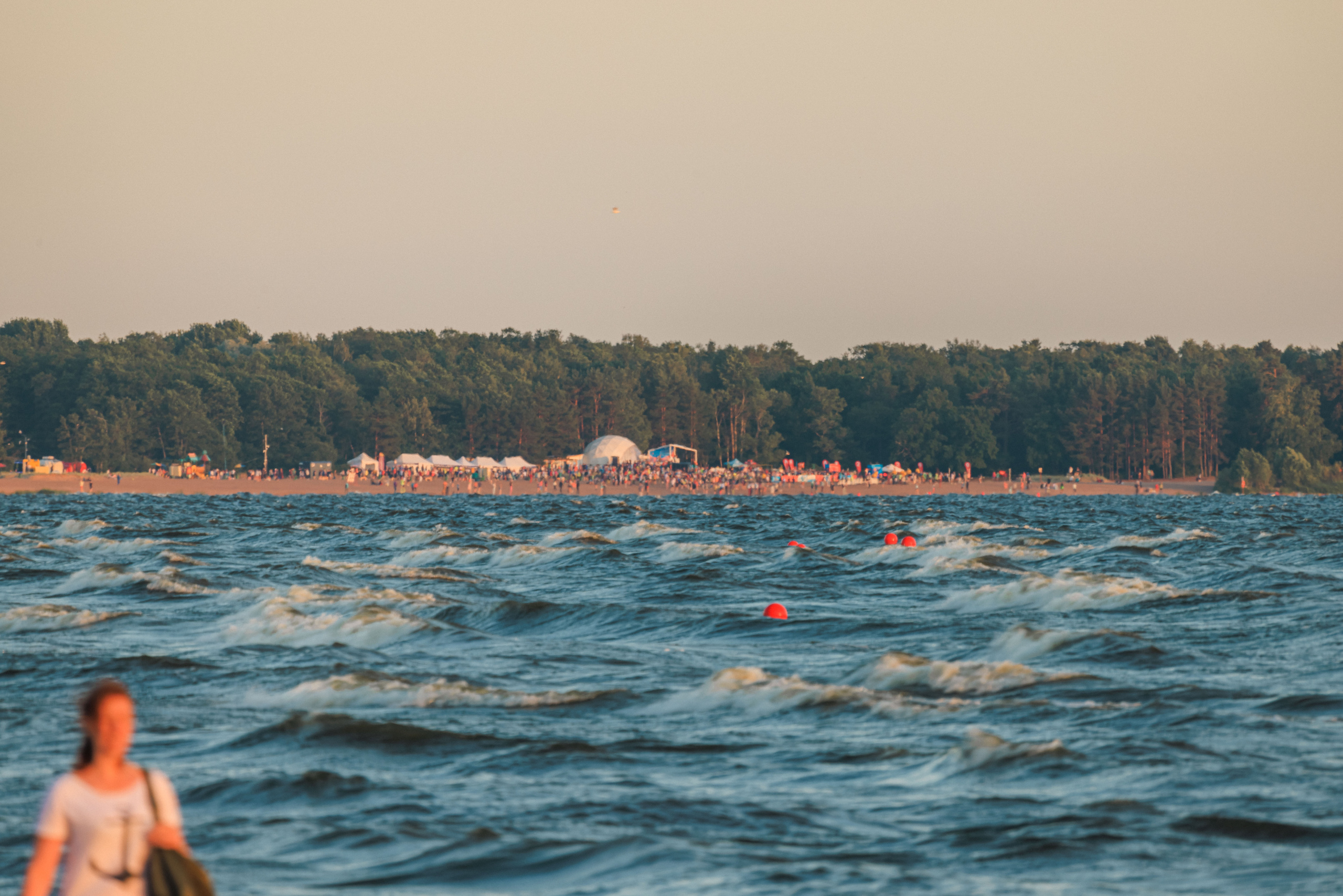 На берегу Финского залива. Фотограф Балаев Михаил
