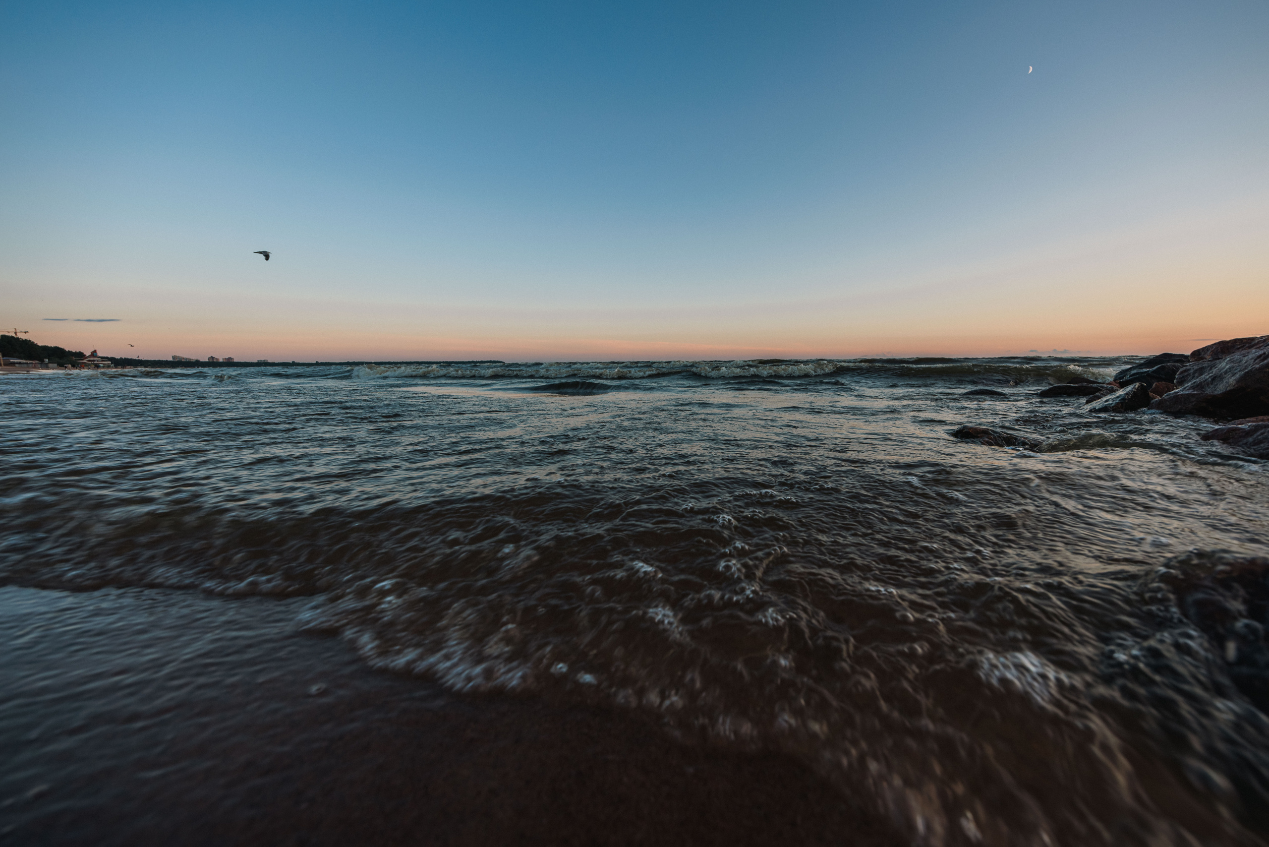 На берегу Финского залива. Фотограф Балаев Михаил