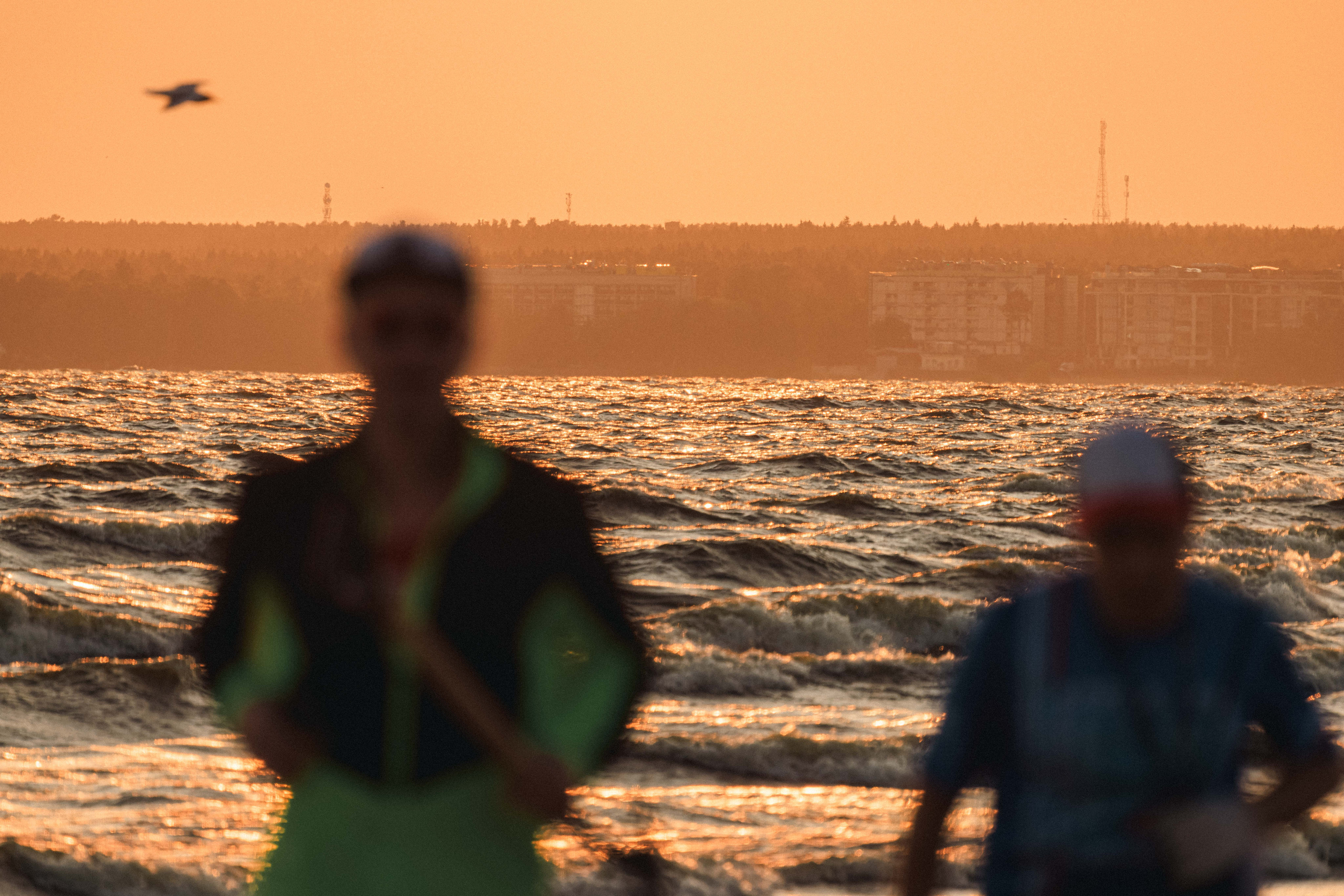 На берегу Финского залива. Фотограф Балаев Михаил