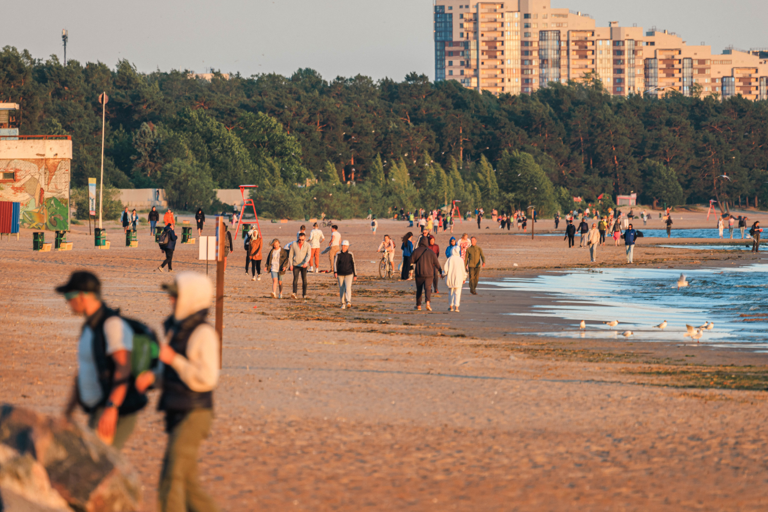 На берегу Финского залива. Фотограф Балаев Михаил