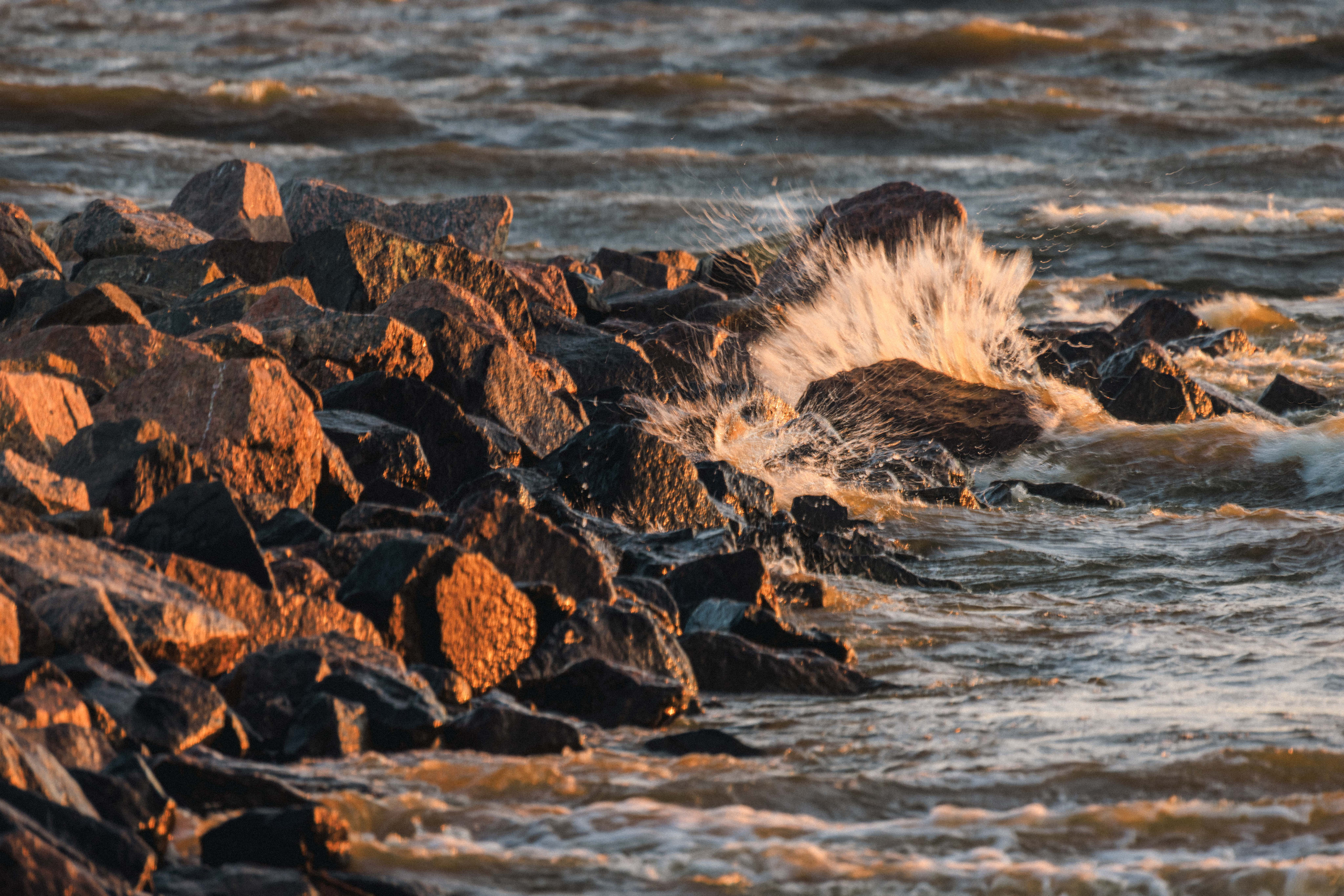 На берегу Финского залива. Фотограф Балаев Михаил