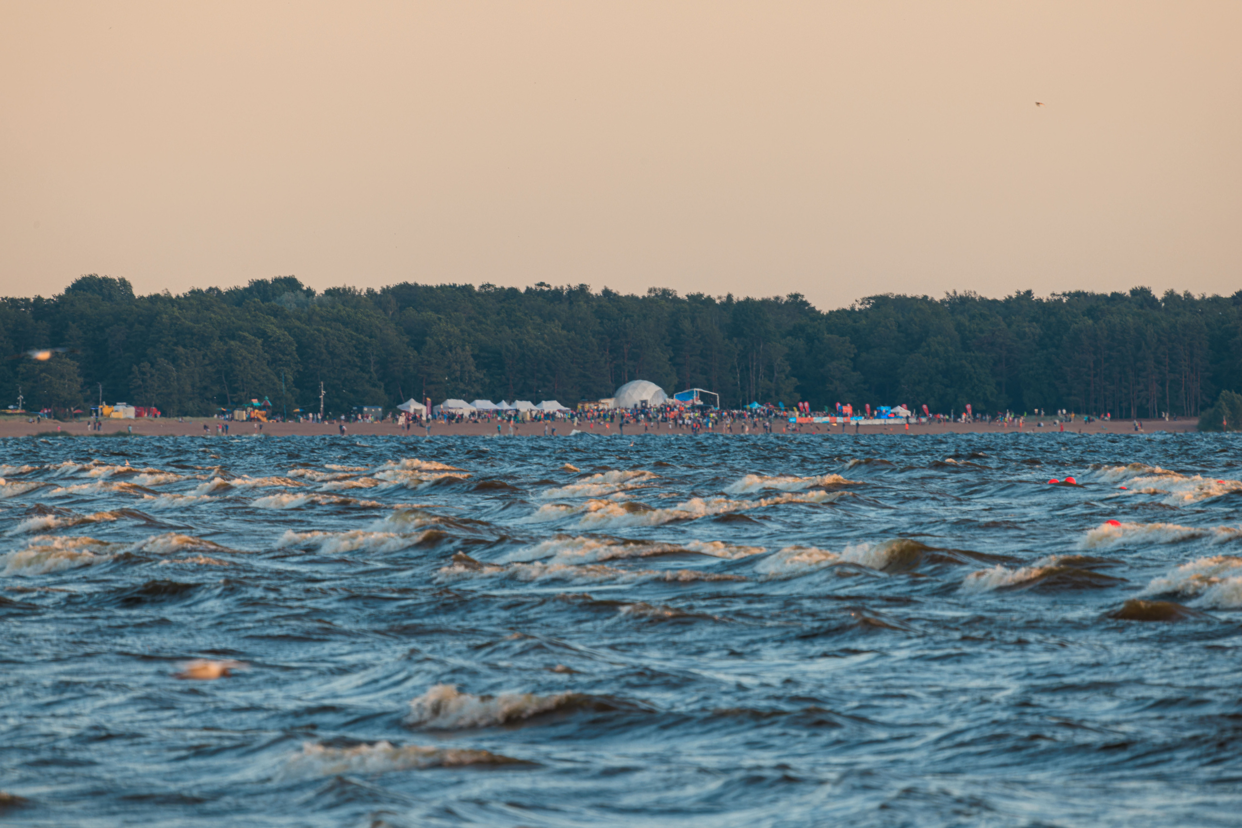 На берегу Финского залива. Фотограф Балаев Михаил