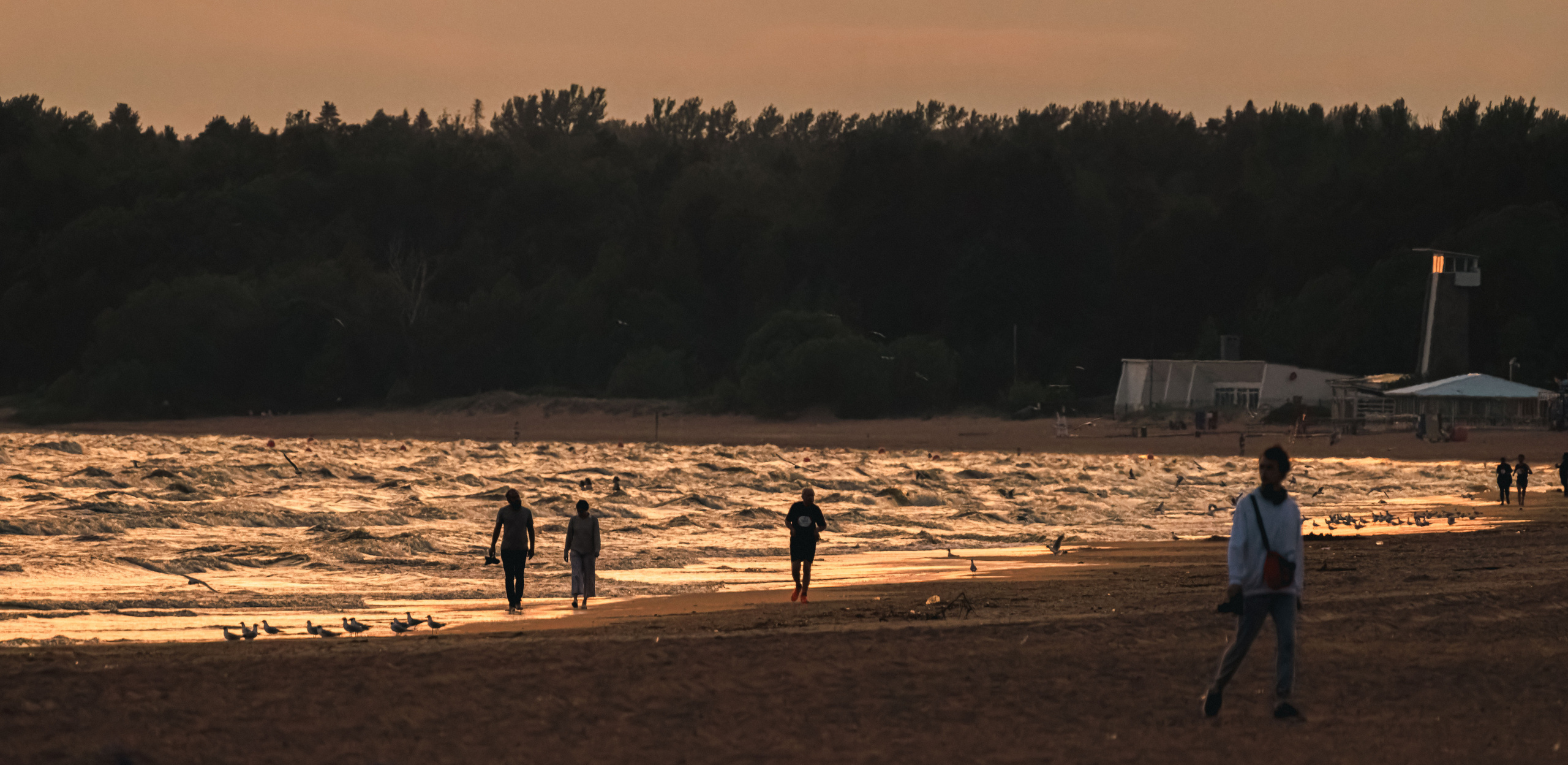 На берегу Финского залива. Фотограф Балаев Михаил