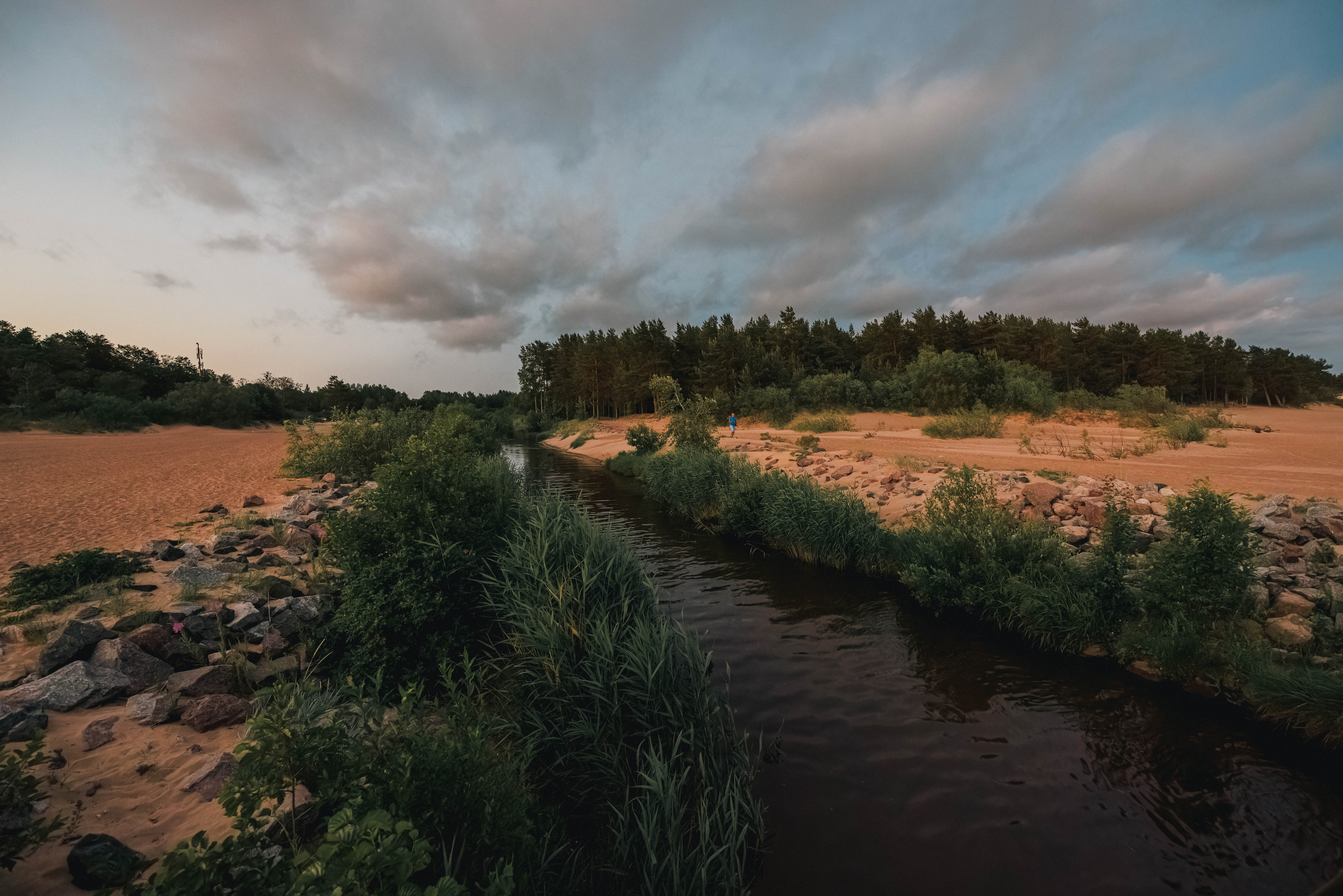 На берегу Финского залива. Фотограф Балаев Михаил