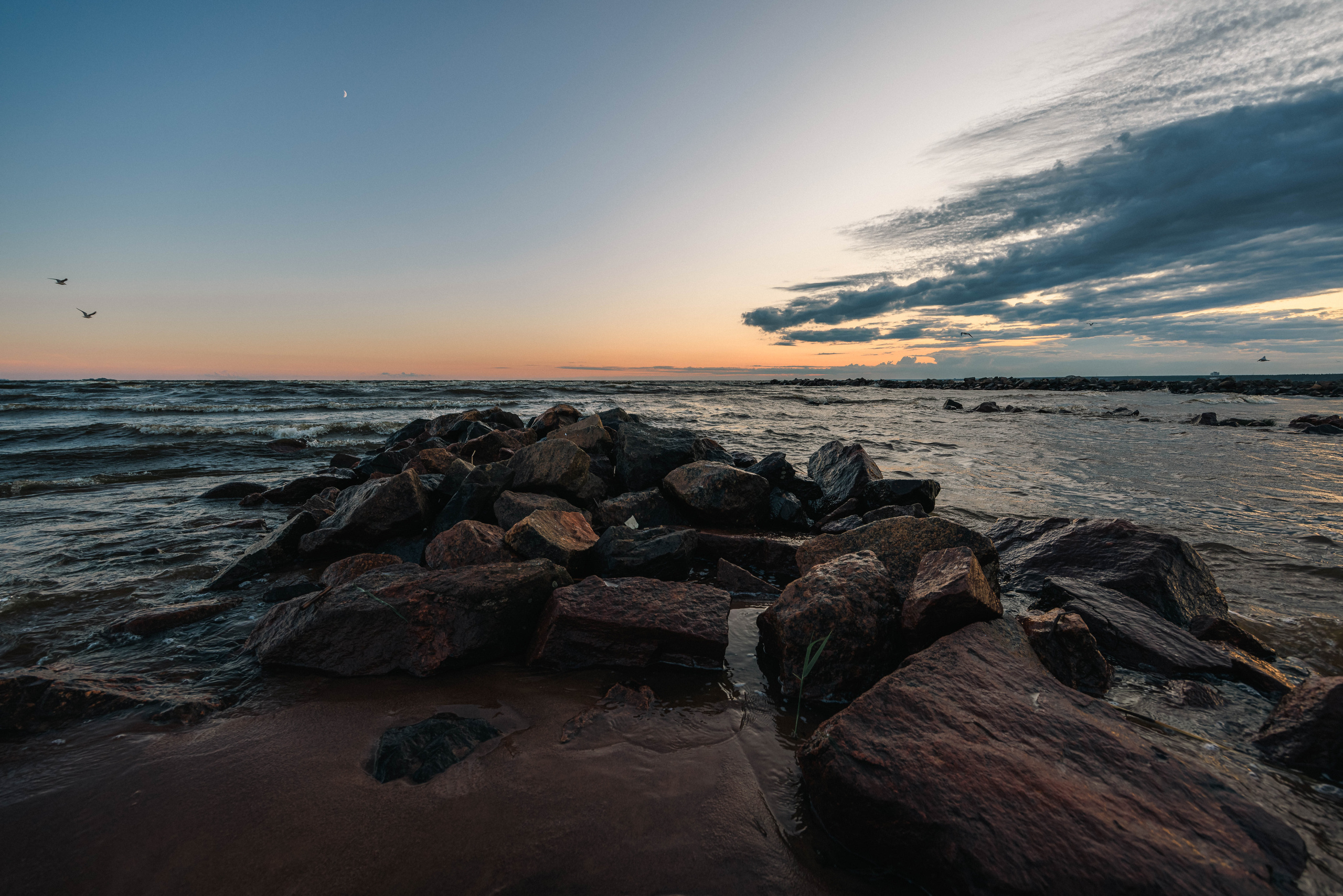 На берегу Финского залива. Фотограф Балаев Михаил