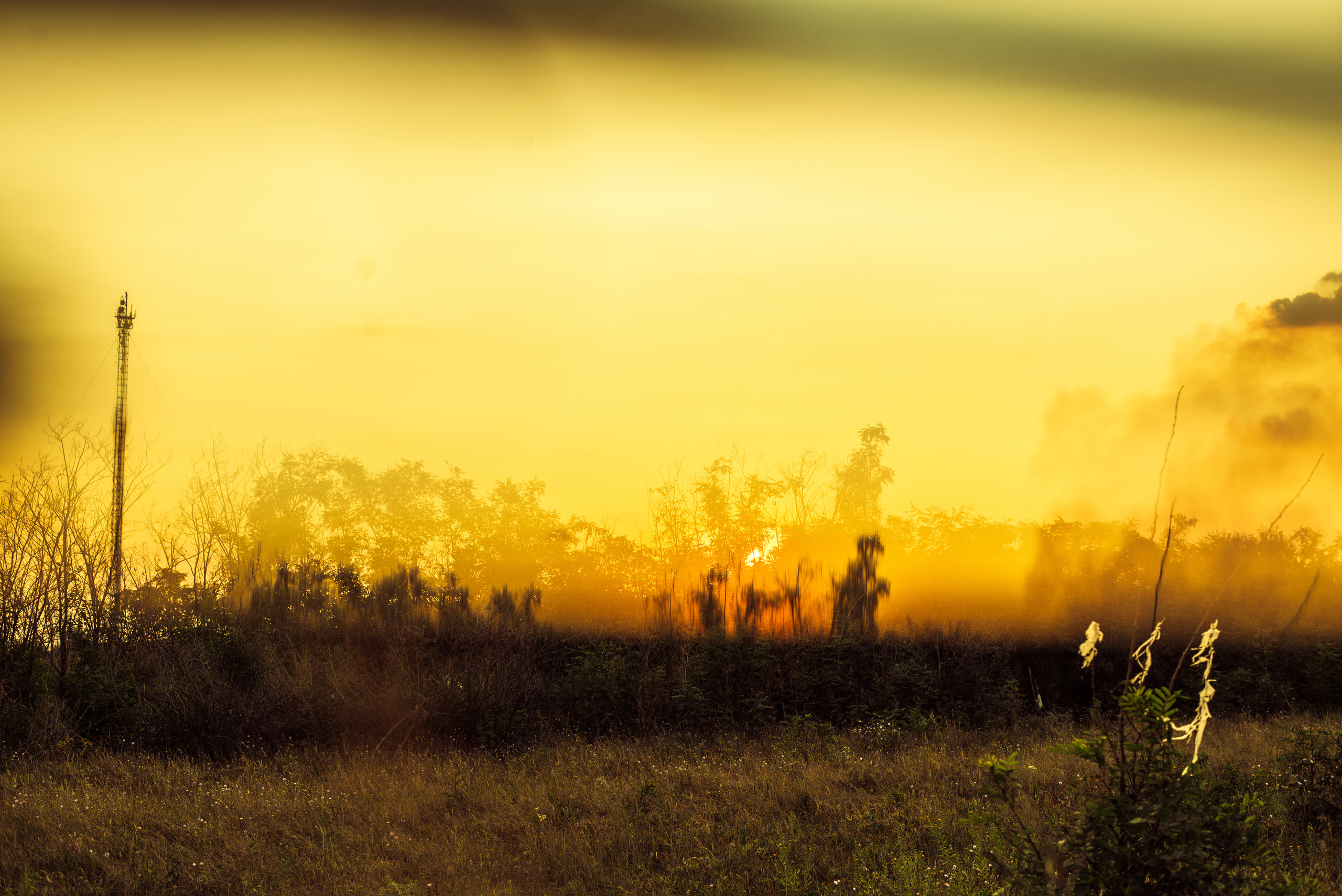 В лучах солнца. Фотограф Шудра Яна