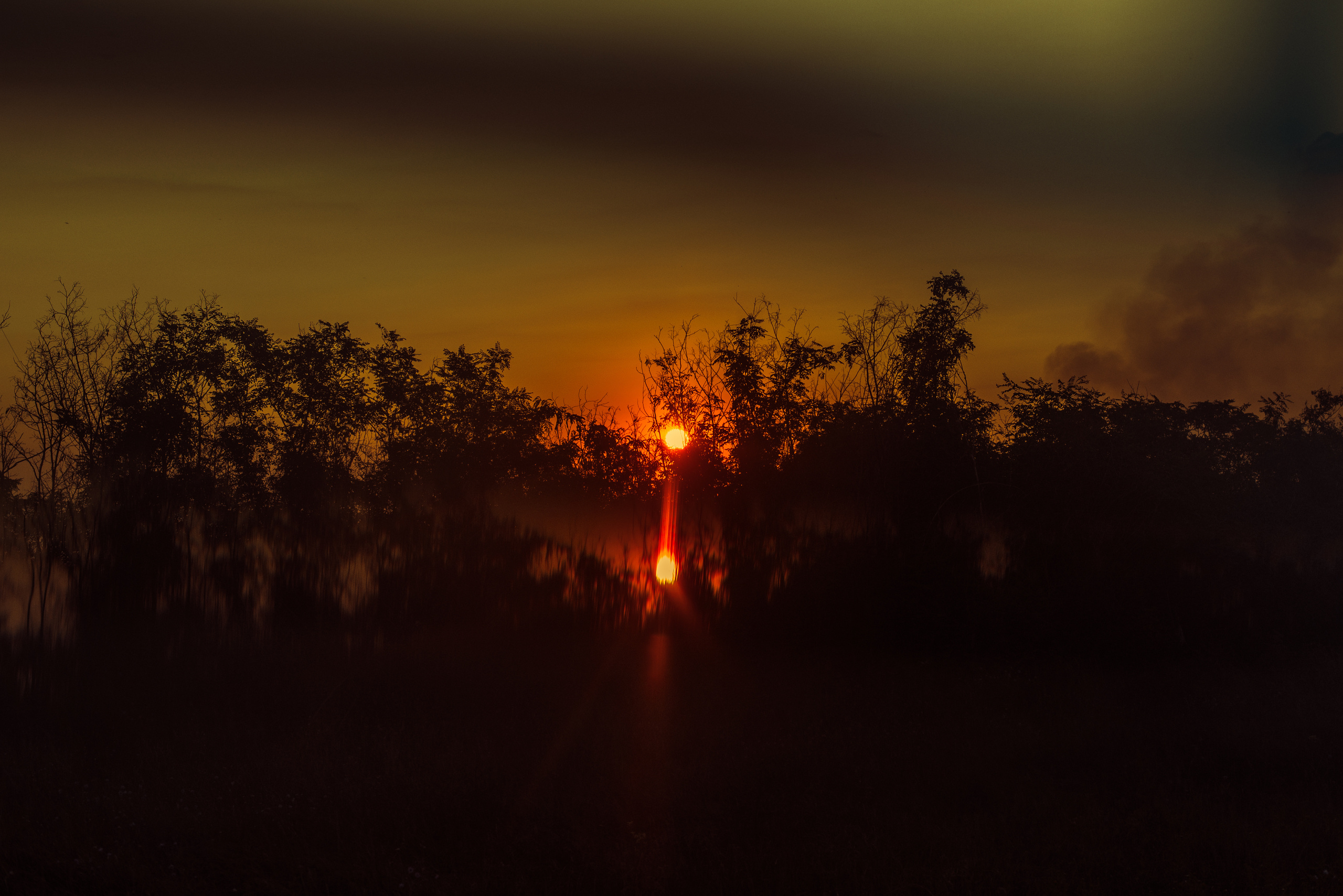 В лучах солнца. Фотограф Шудра Яна