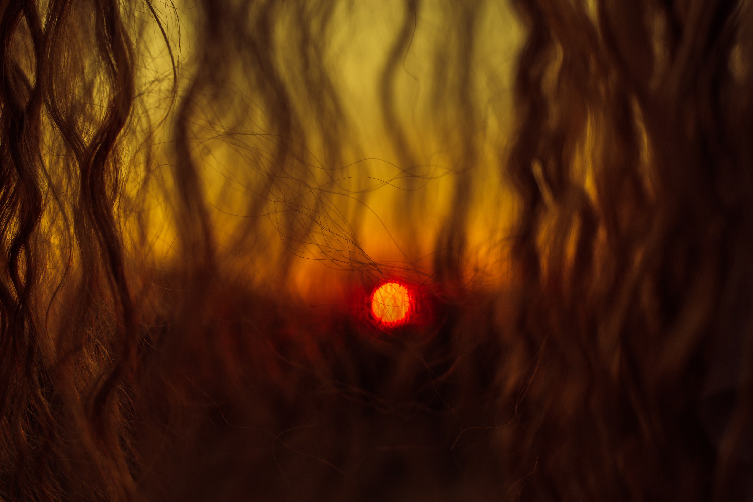 В лучах солнца. Фотограф Шудра Яна