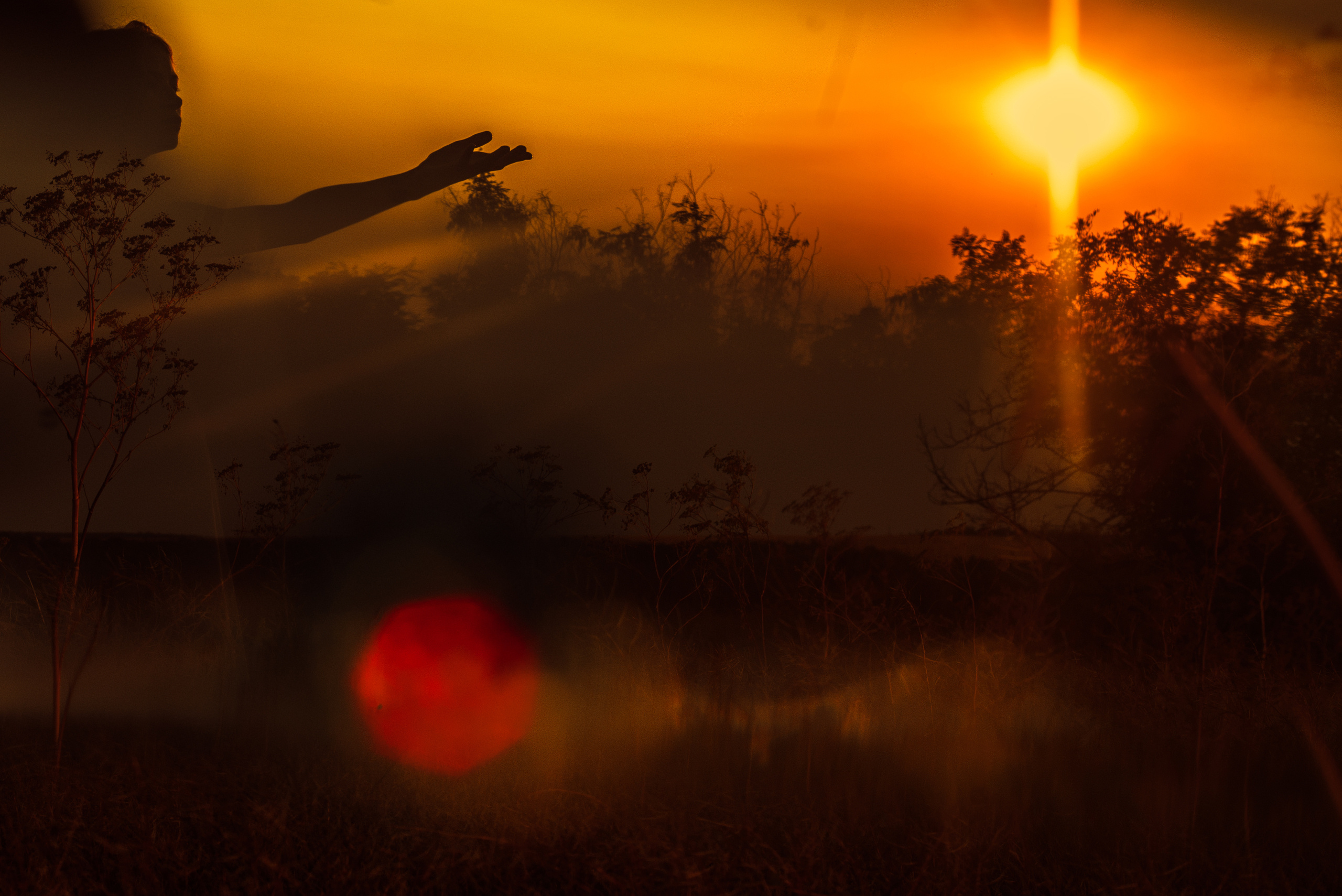 В лучах солнца. Фотограф Шудра Яна