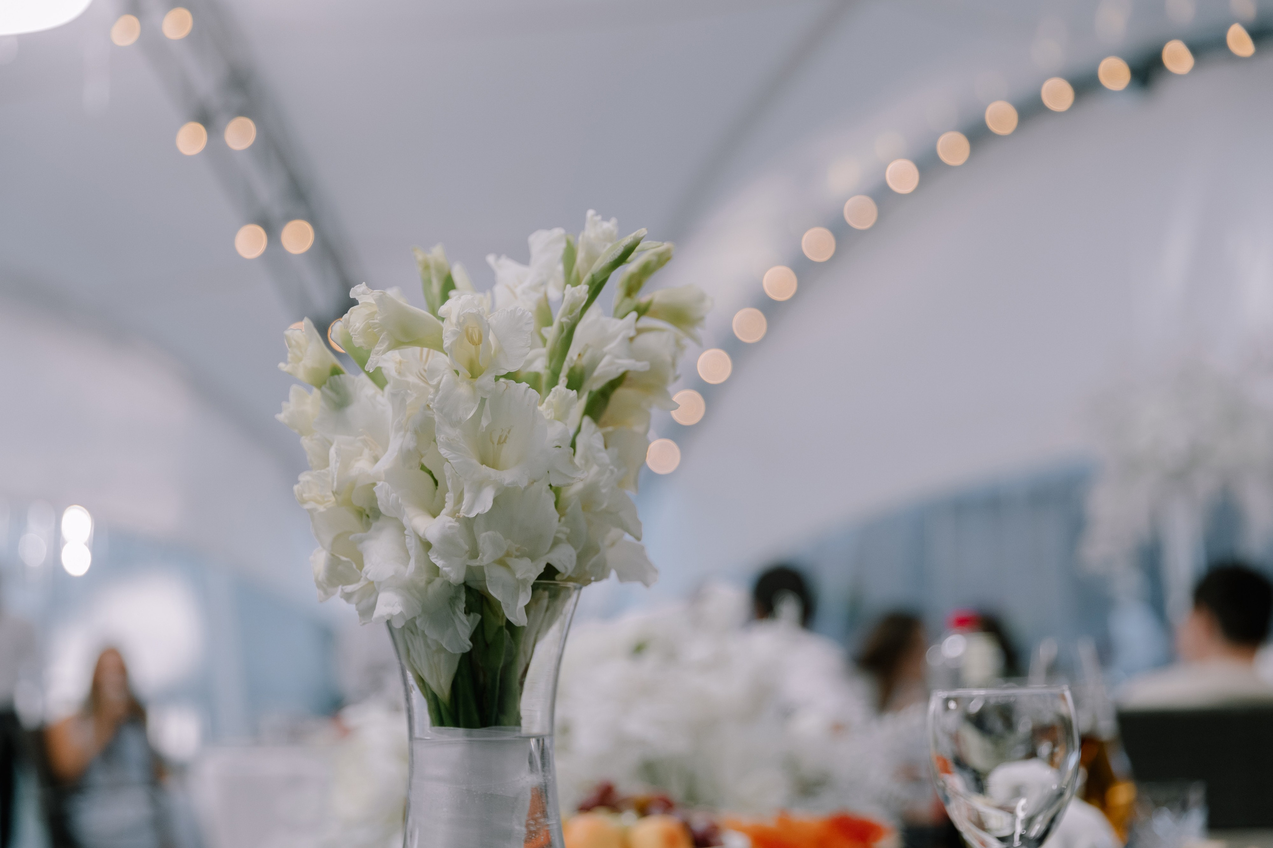 В первый день сентября. Фотограф Елена Краснопевцева