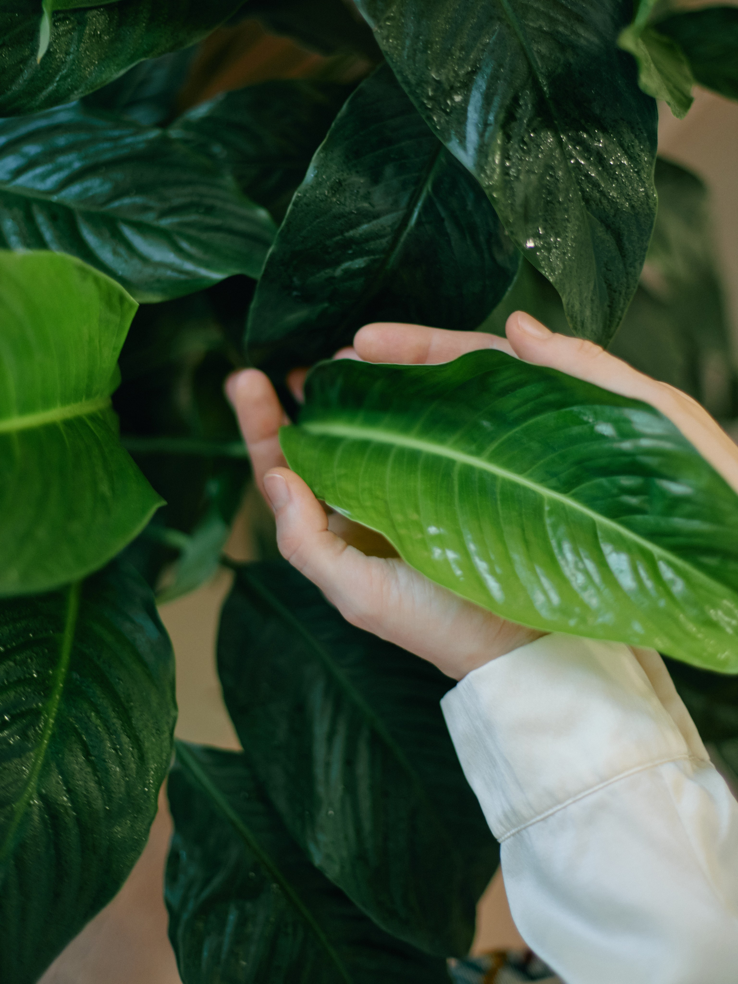 Аленка. Профессиональный Фотограф во Владимире, в Москве и в Суздале — Полина Романычева
