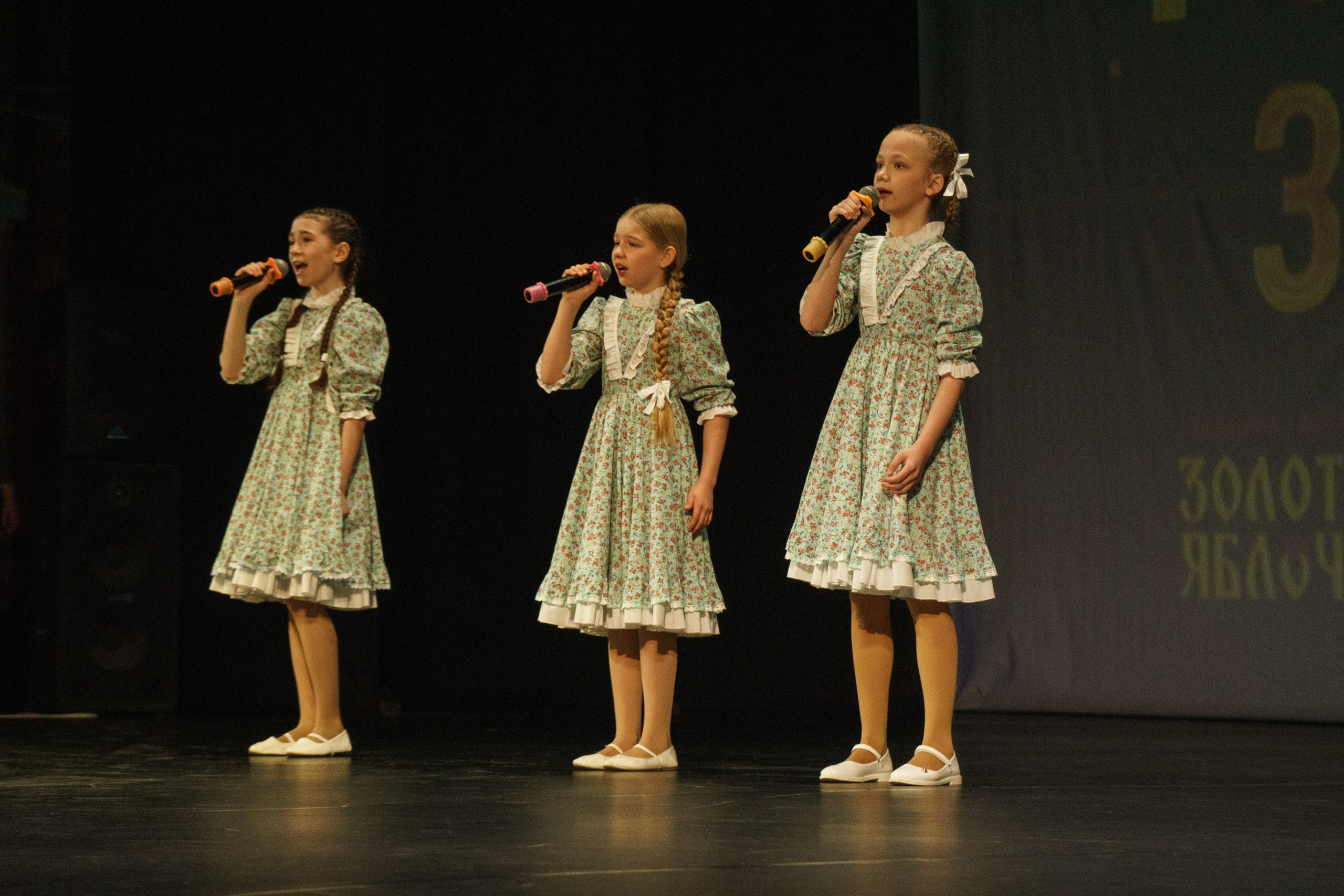 04 мая, г. Архангельск. Золотое яблочко