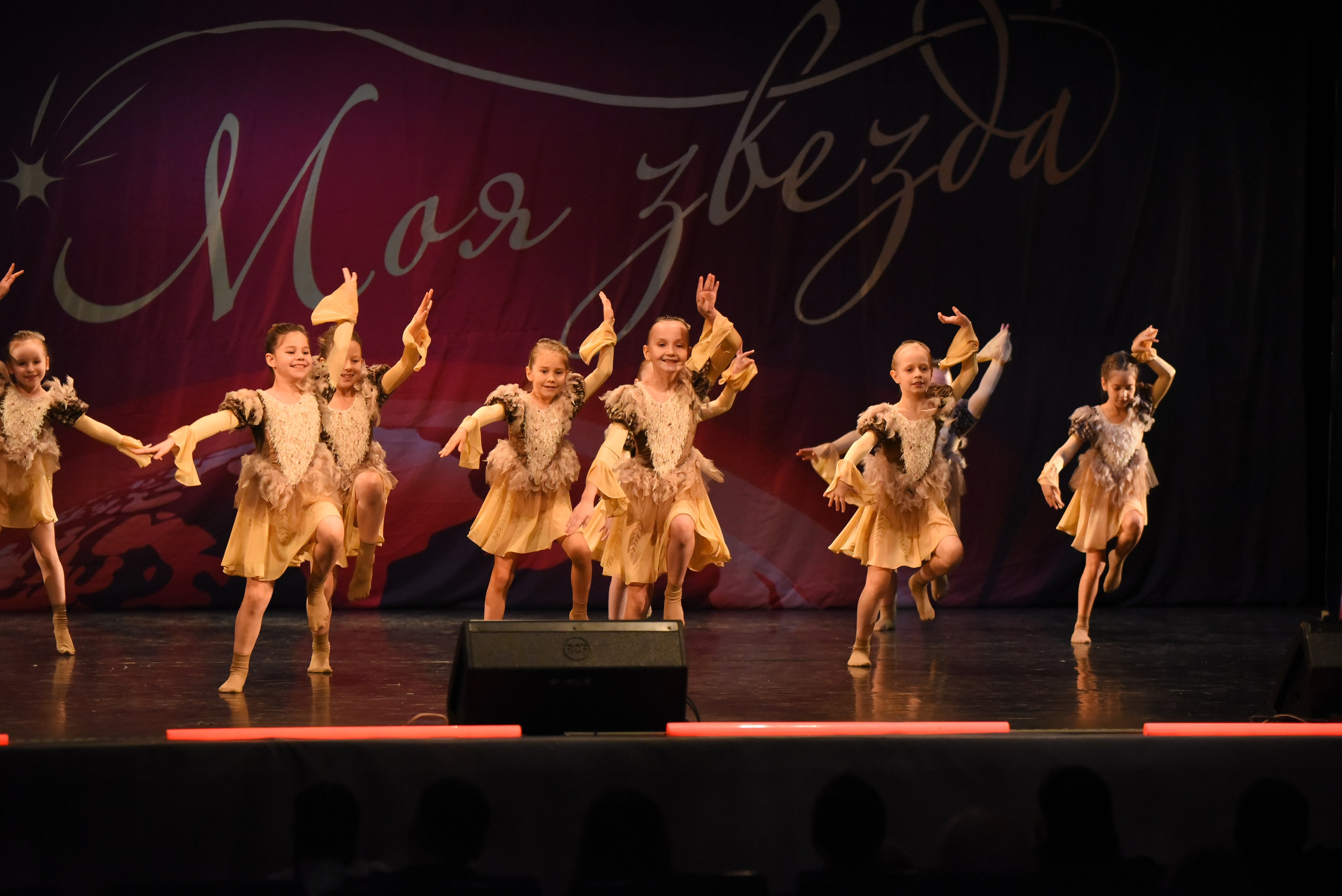 13 декабря, г. Калининград. Золотое яблочко