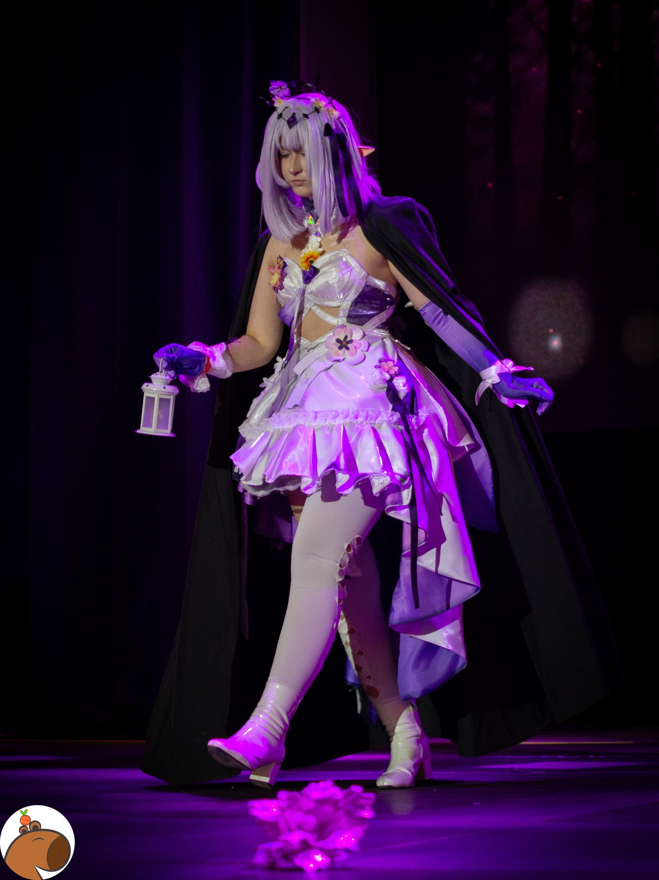 5 ночей с Капибарой. Уголок Капибарки