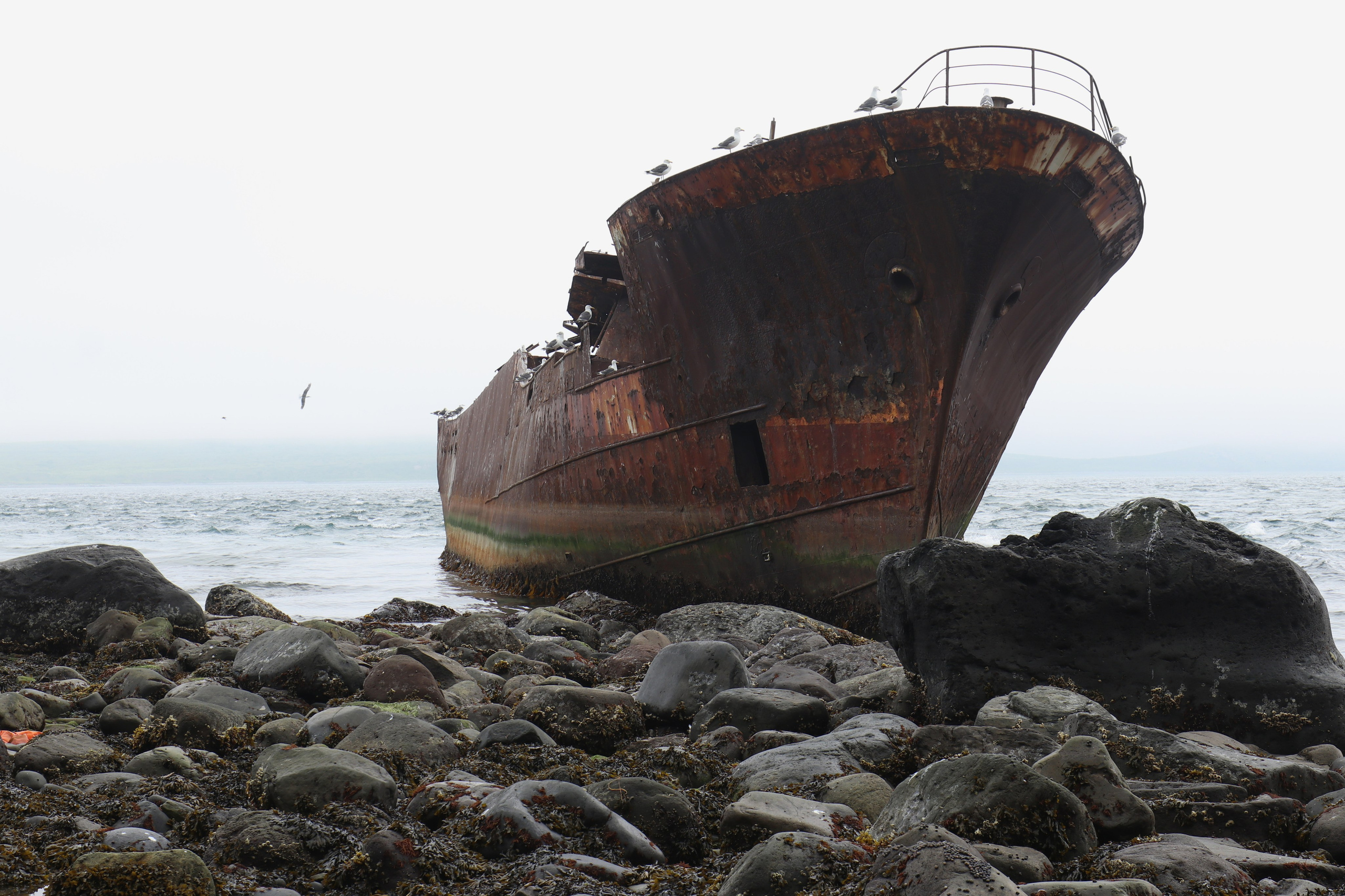 Камчатка и о. Парамушир. Июль 2024. Путешественник-фотограф из Санкт-Петербурга Татьяна Свистулина