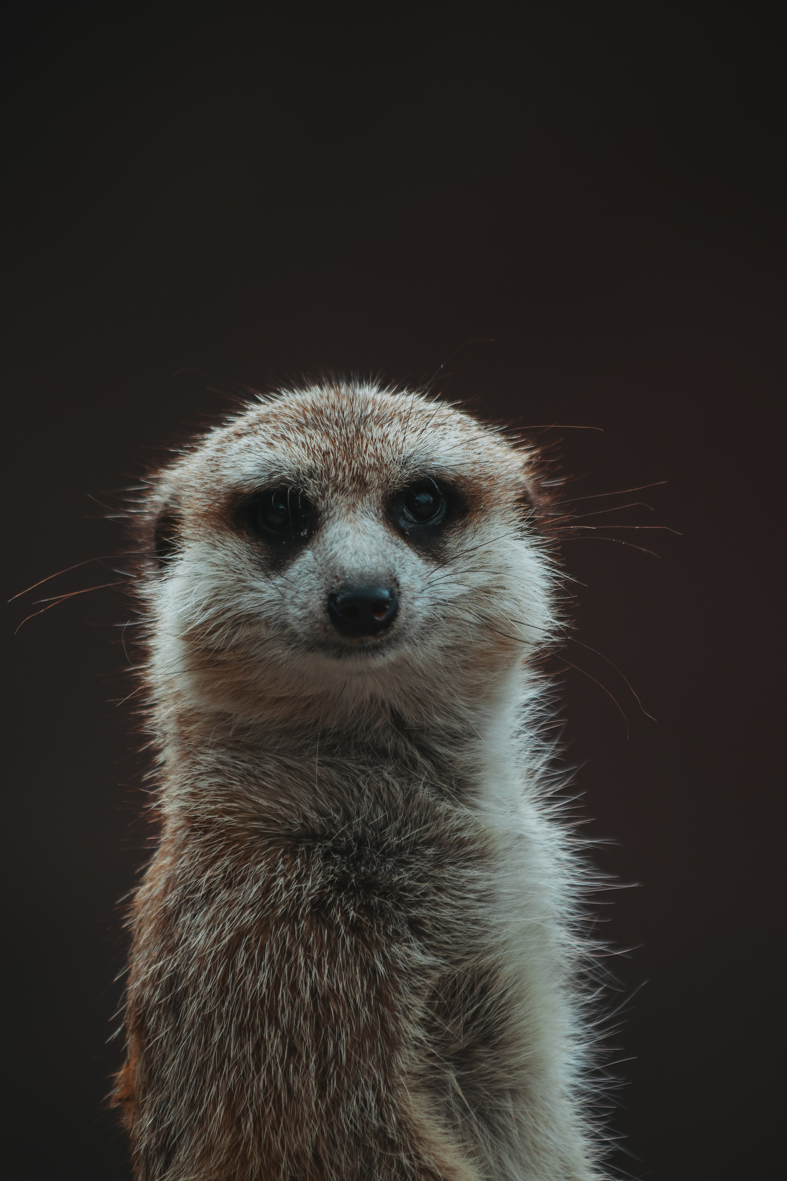 Р А З Н А Я — Ж И В Н О С Т Ь. — Digital Noise —