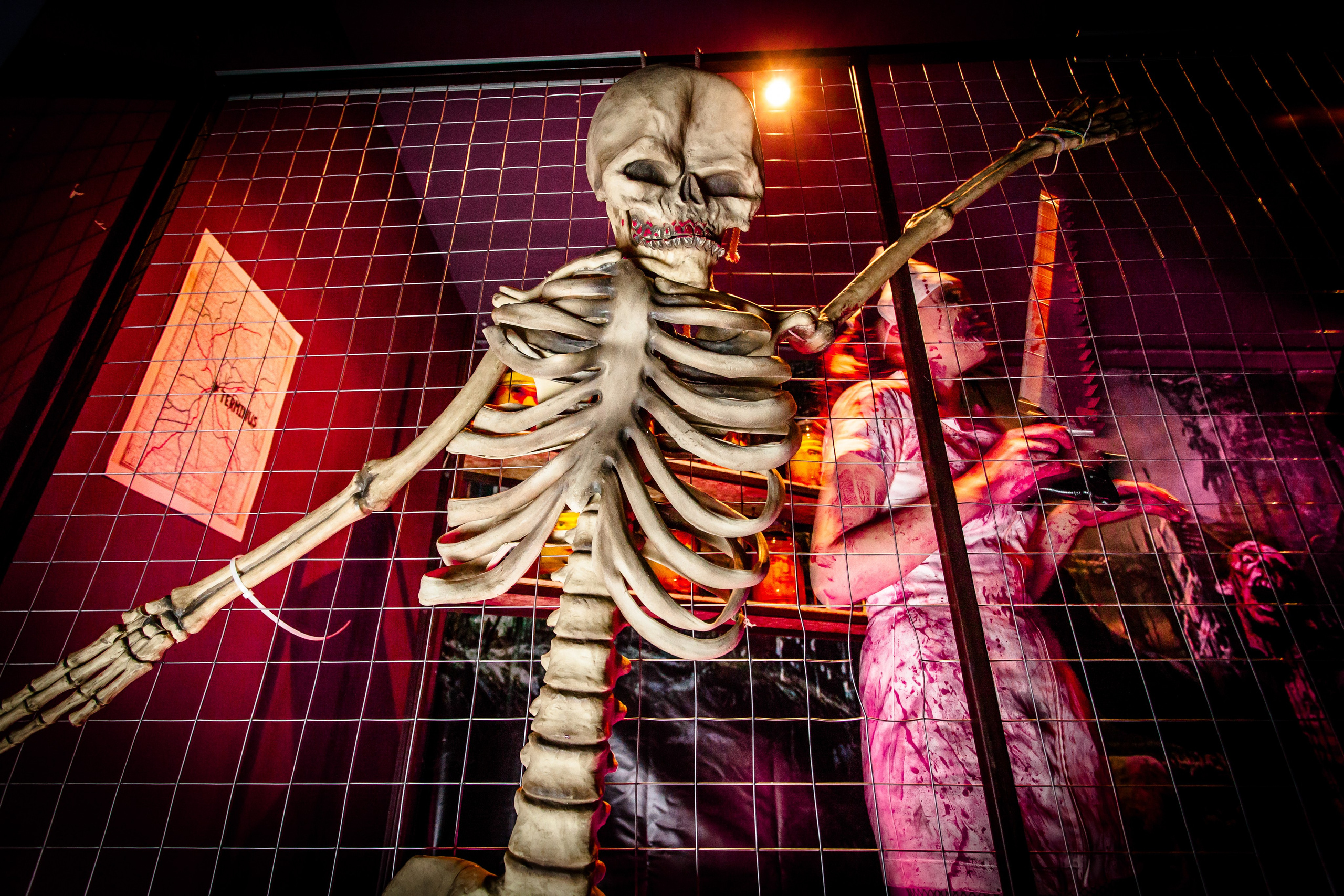 Halloween. Коммерческий фотограф в Туле Алексей Мизарев