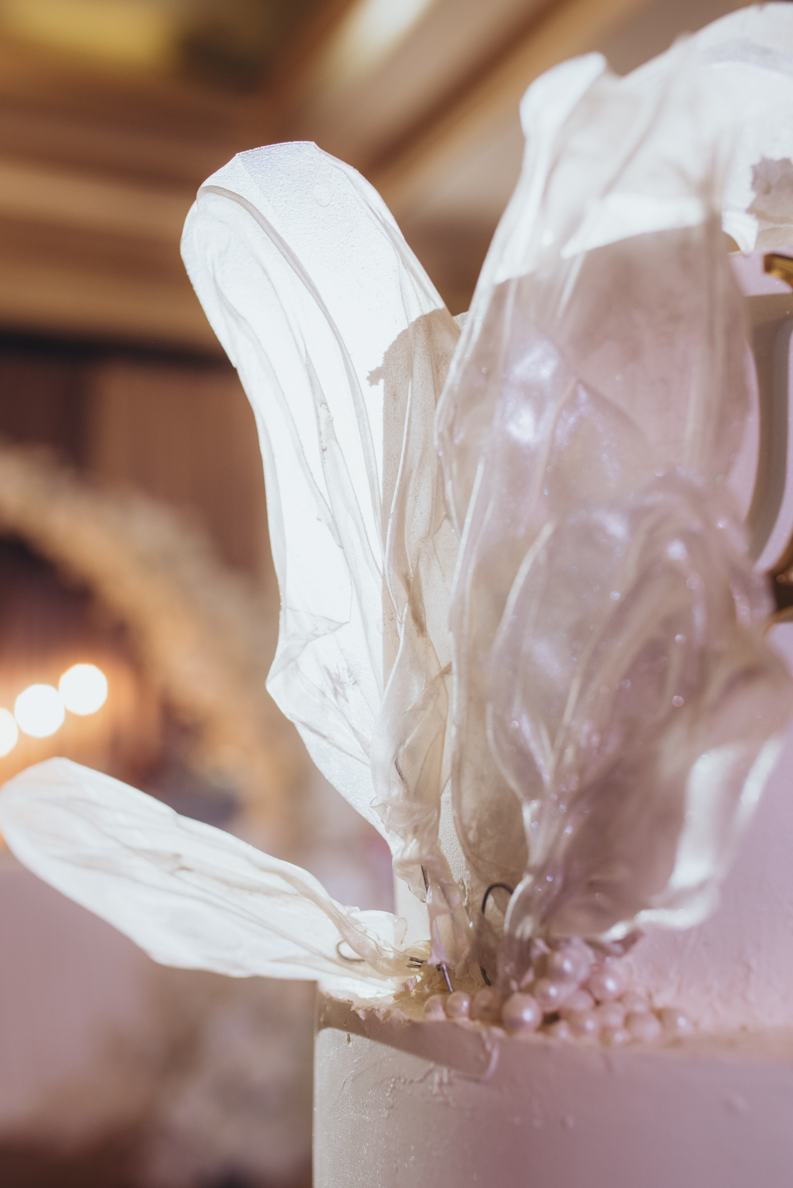 Дмитрий + Евгения. Главная