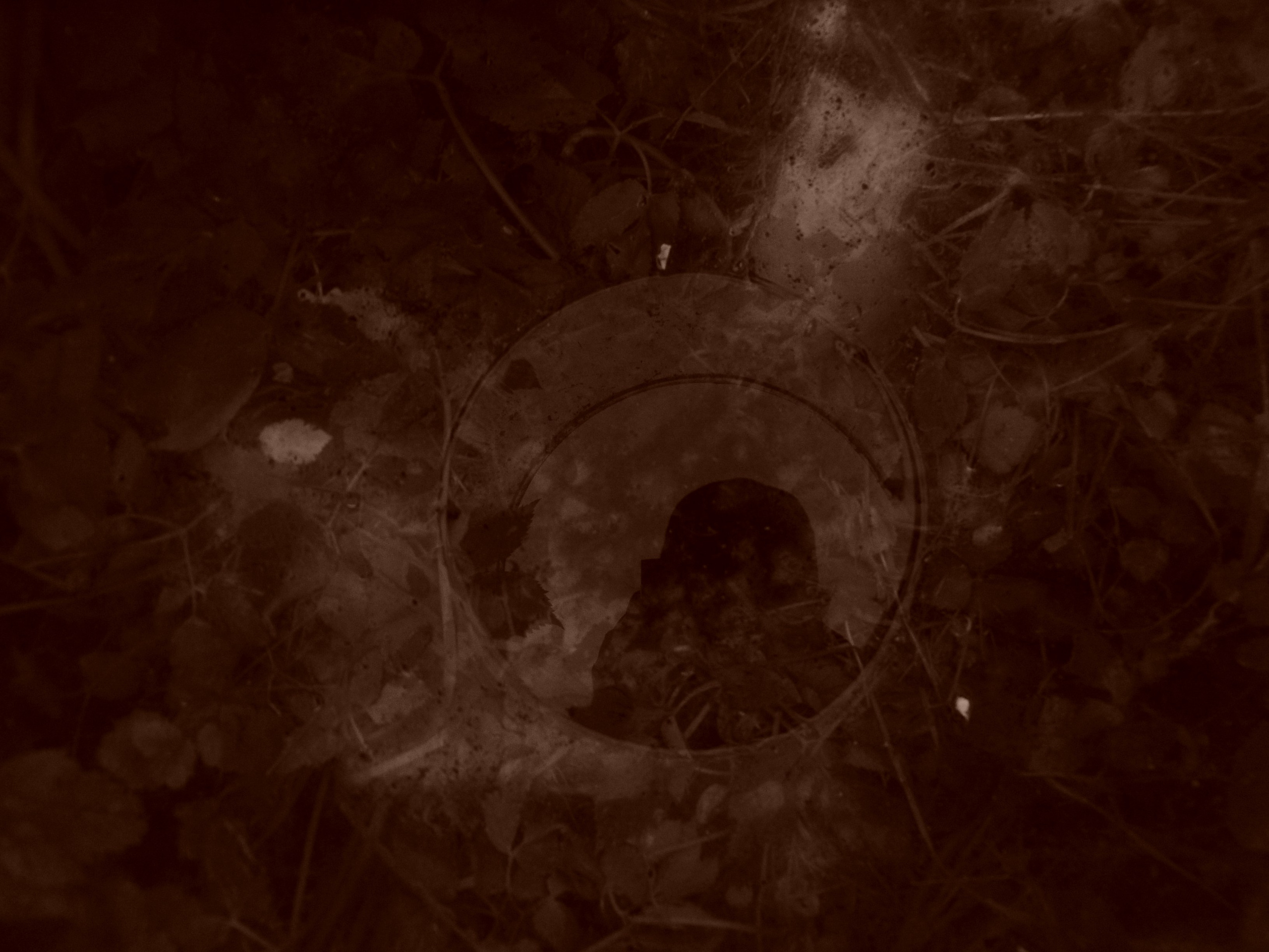 Приезд КС 2005. Заставка