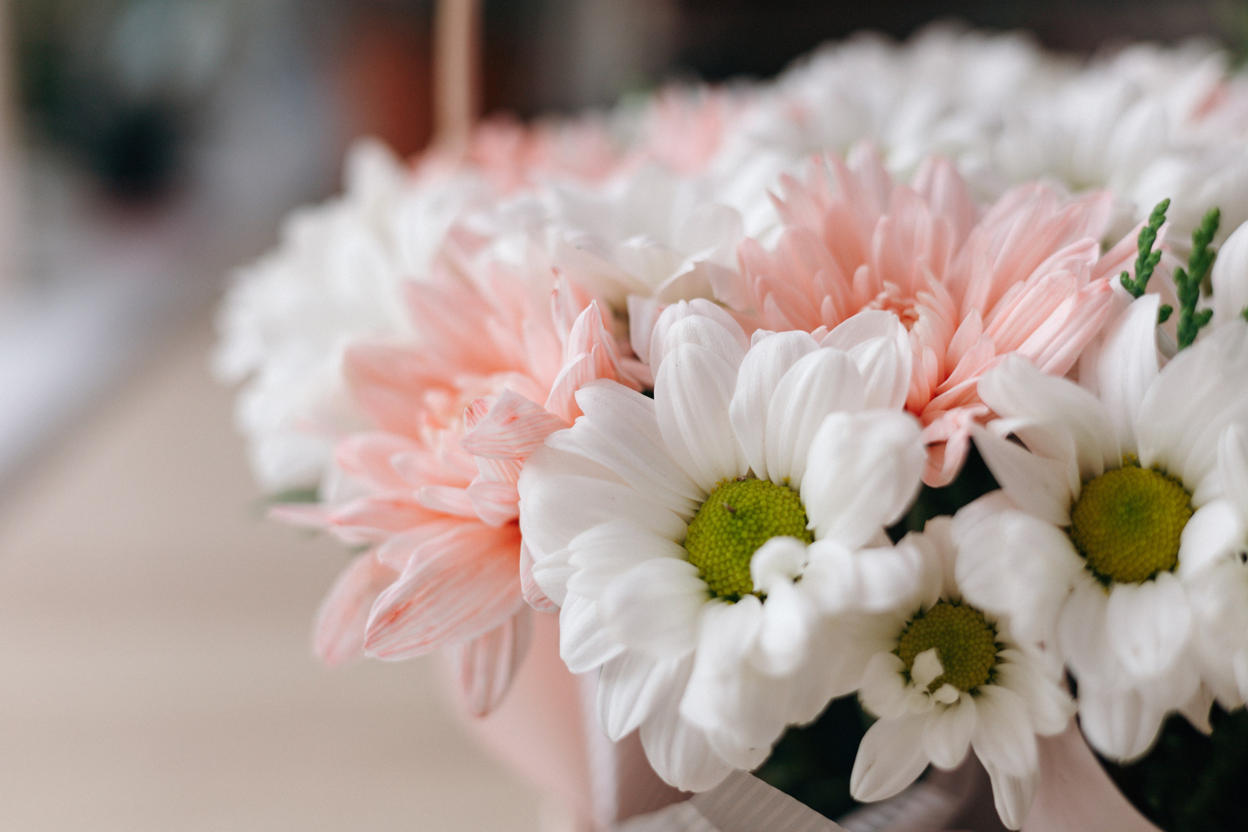 Кейс магазин цветов. Ваш фотограф