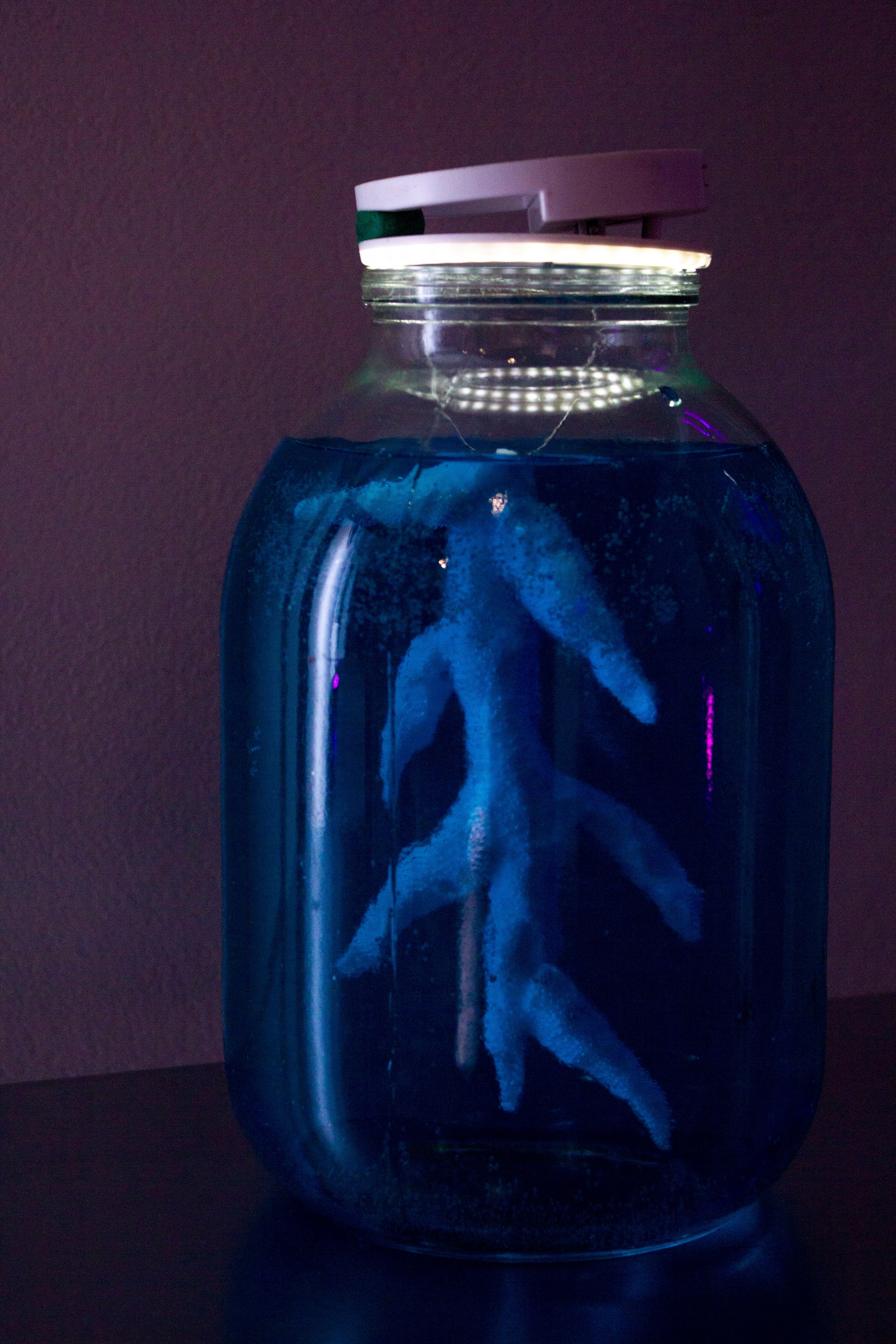 Play DigitalArt 2024