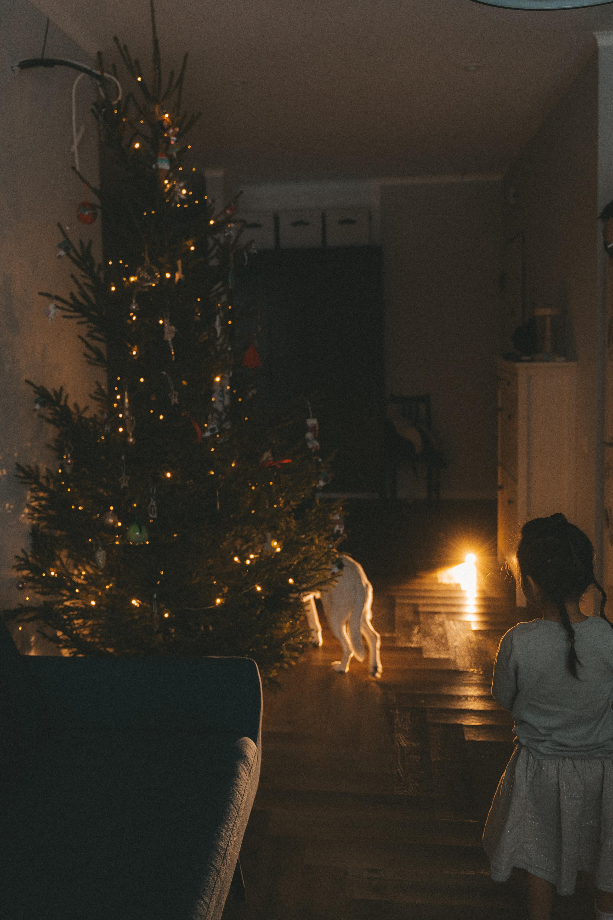 Домашняя новогодняя история у Анны. 2022. Главная