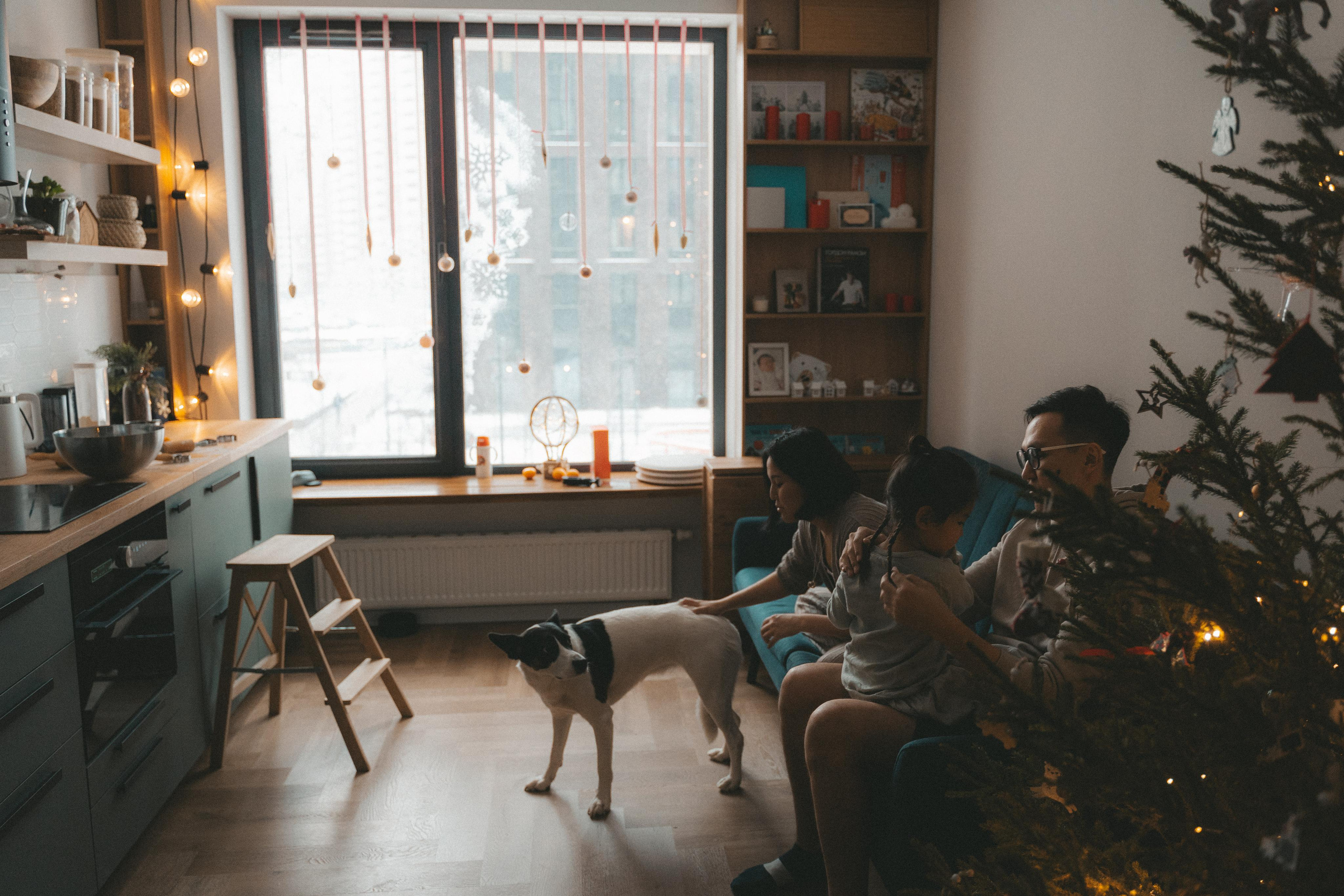 Домашняя новогодняя история у Анны. 2022. Главная