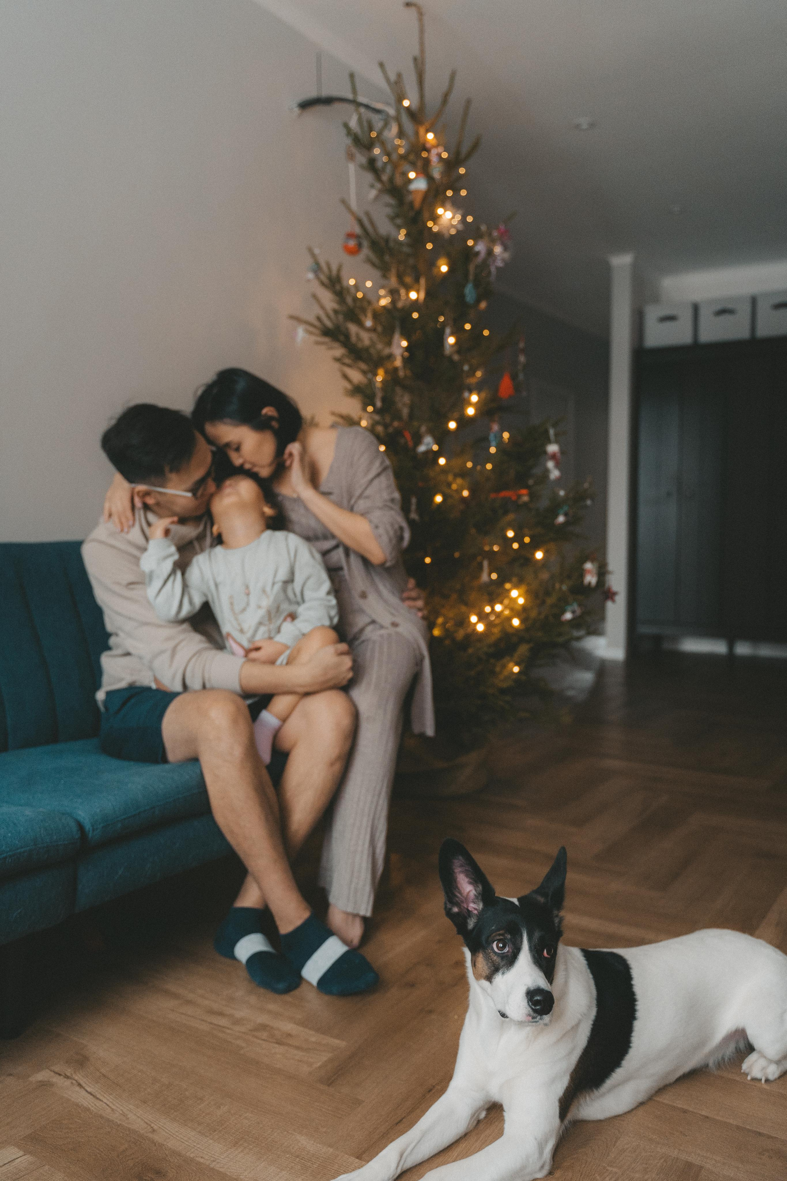 Домашняя новогодняя история у Анны. 2022. Главная