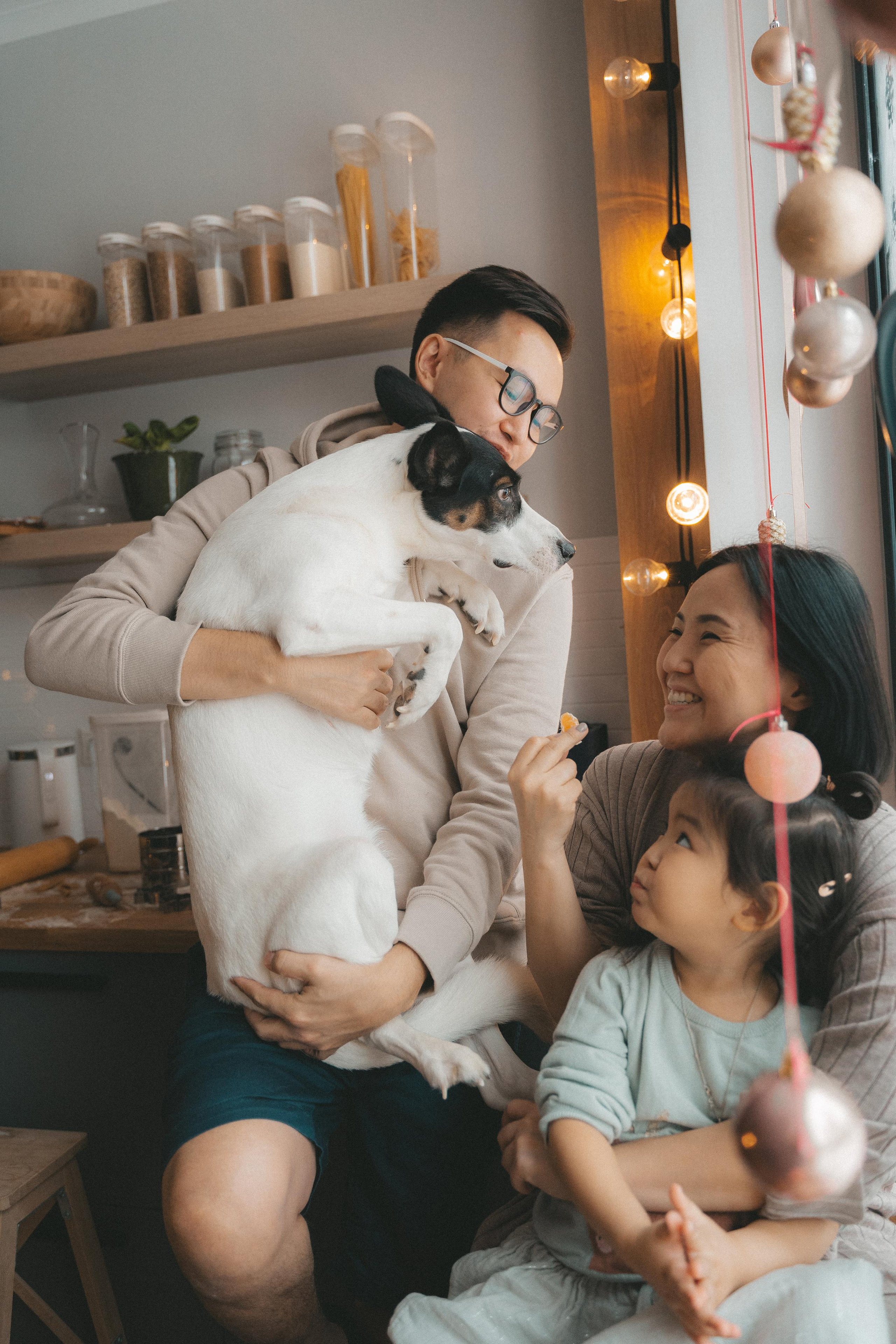 Домашняя новогодняя история у Анны. 2022. Главная