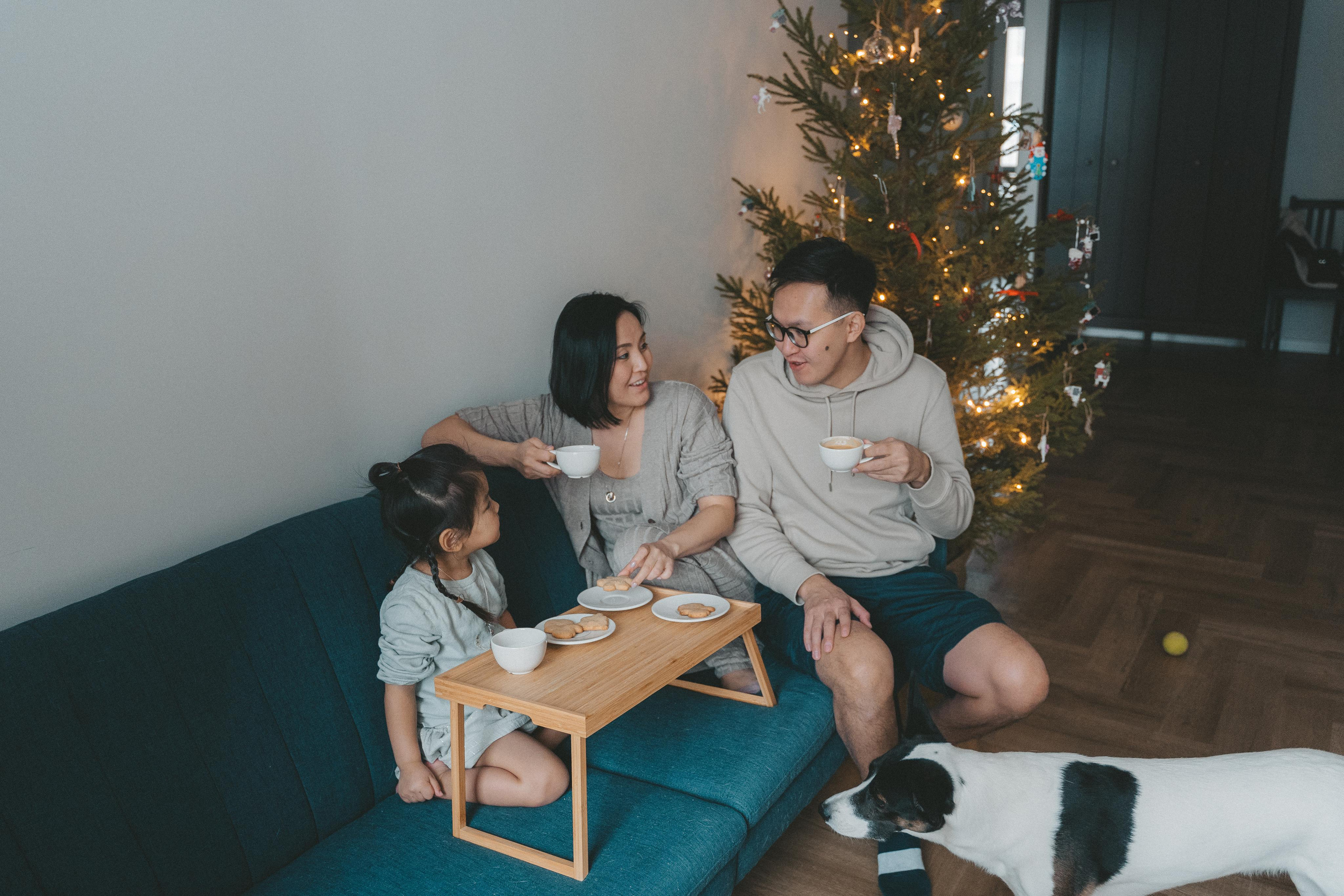 Домашняя новогодняя история у Анны. 2022. Главная