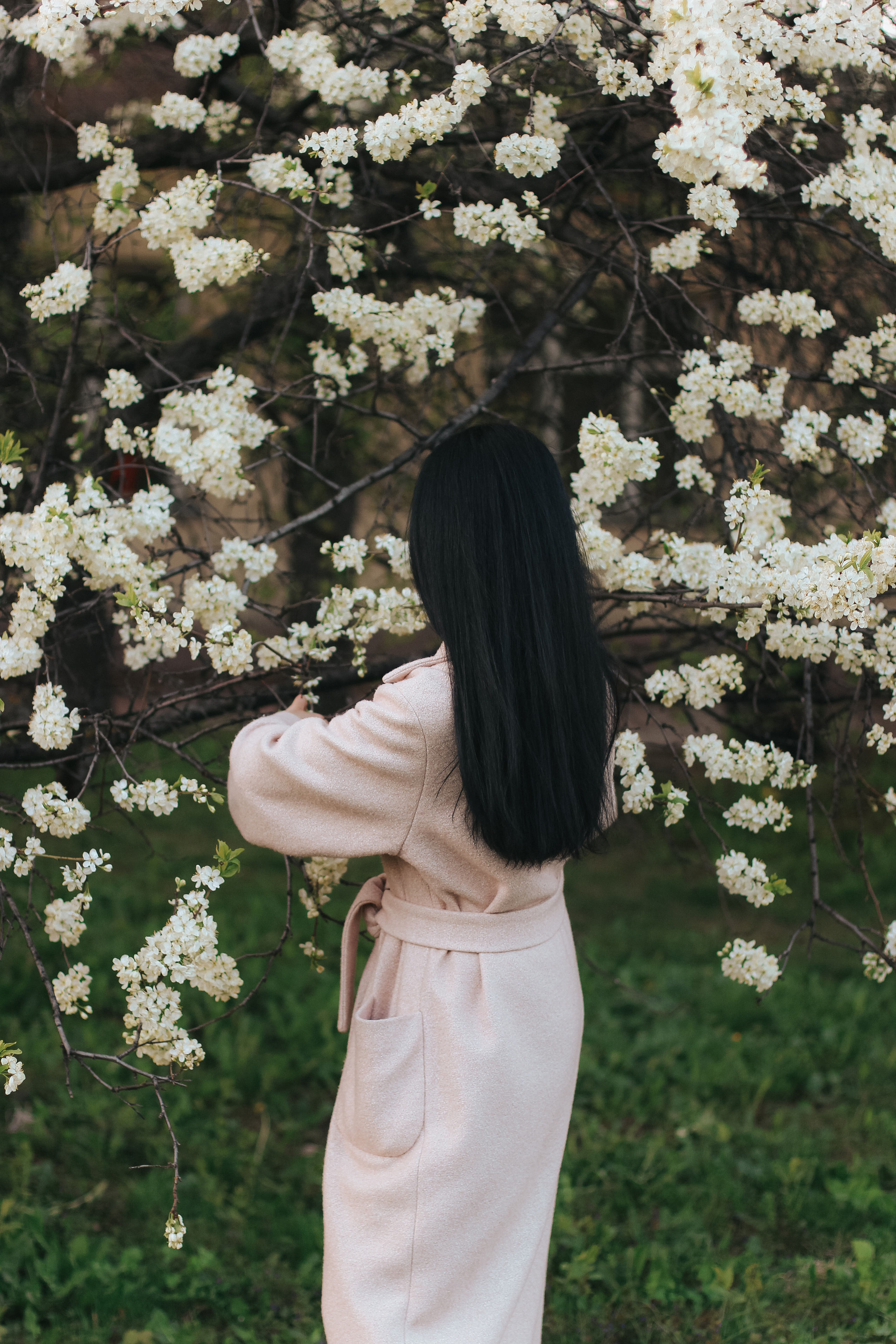 Анна и цветущий сад. 2019. Главная