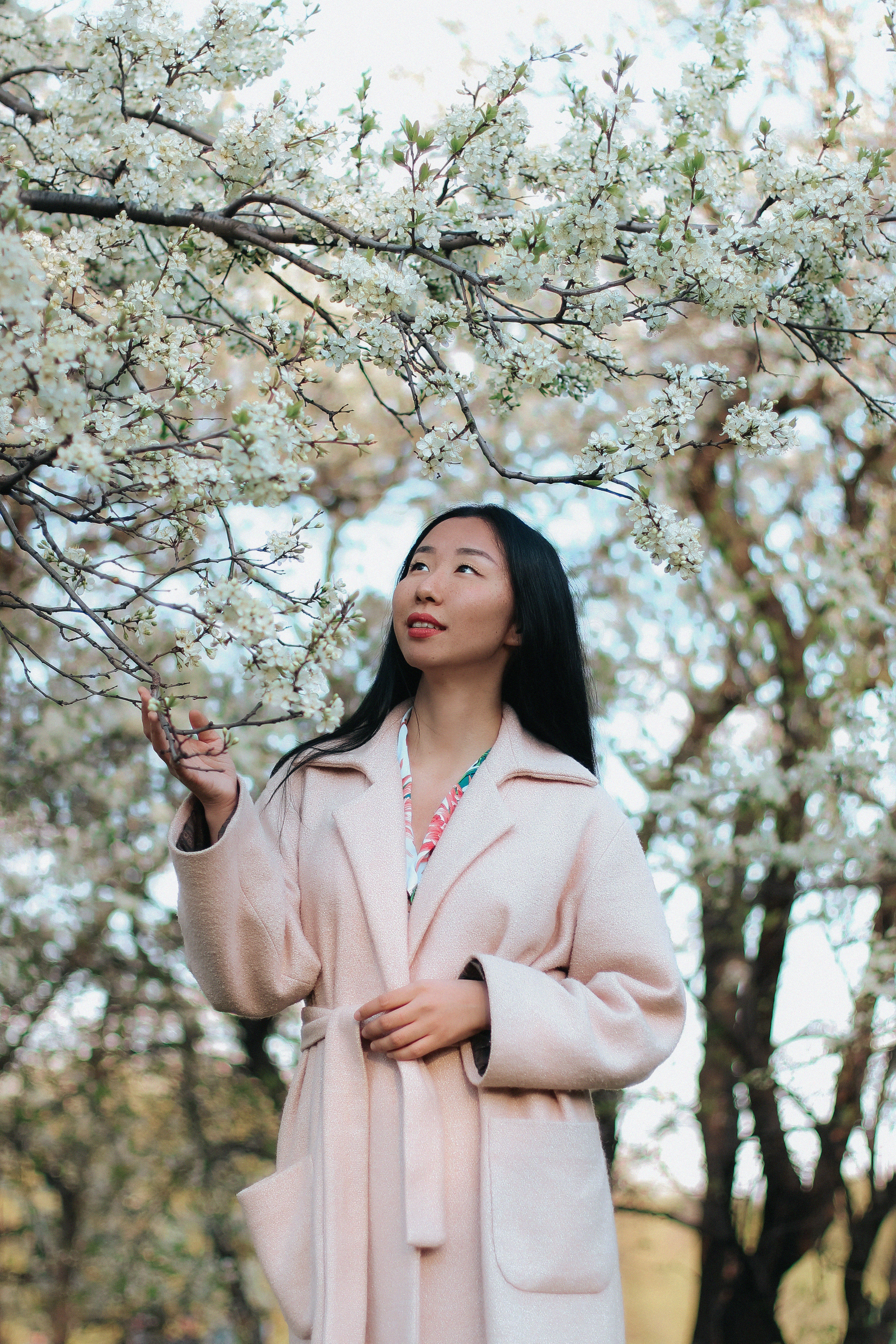 Анна и цветущий сад. 2019. Главная