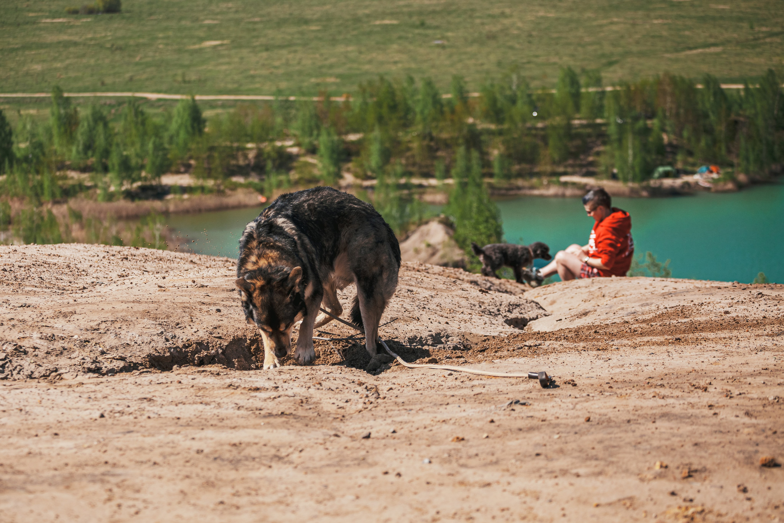 Кондуки. Фотограф-анималист Татьяна Степанова