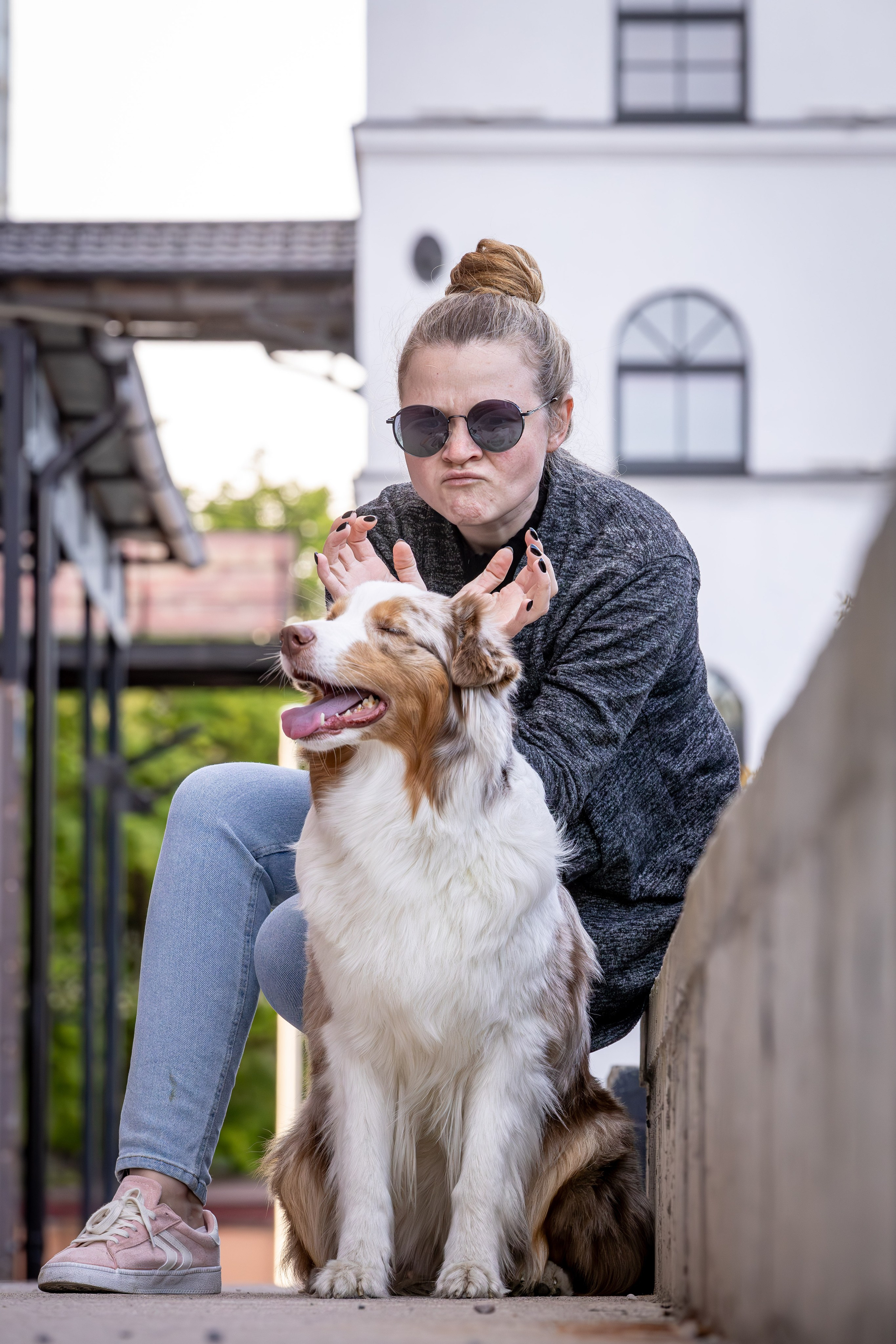 Полли, Австралийская Овчарка. Ирина Голомб|Фотограф-анималист в  Сочи и Калининграде