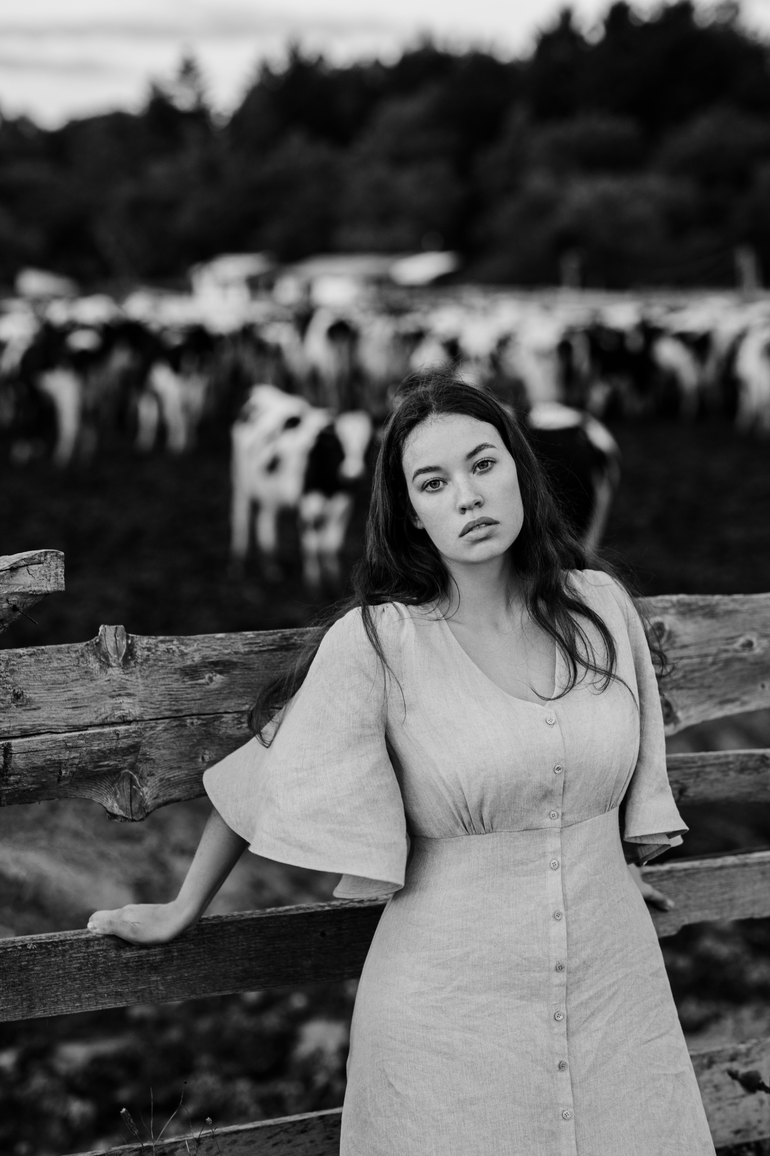 Portfolio. @beingabird.photography