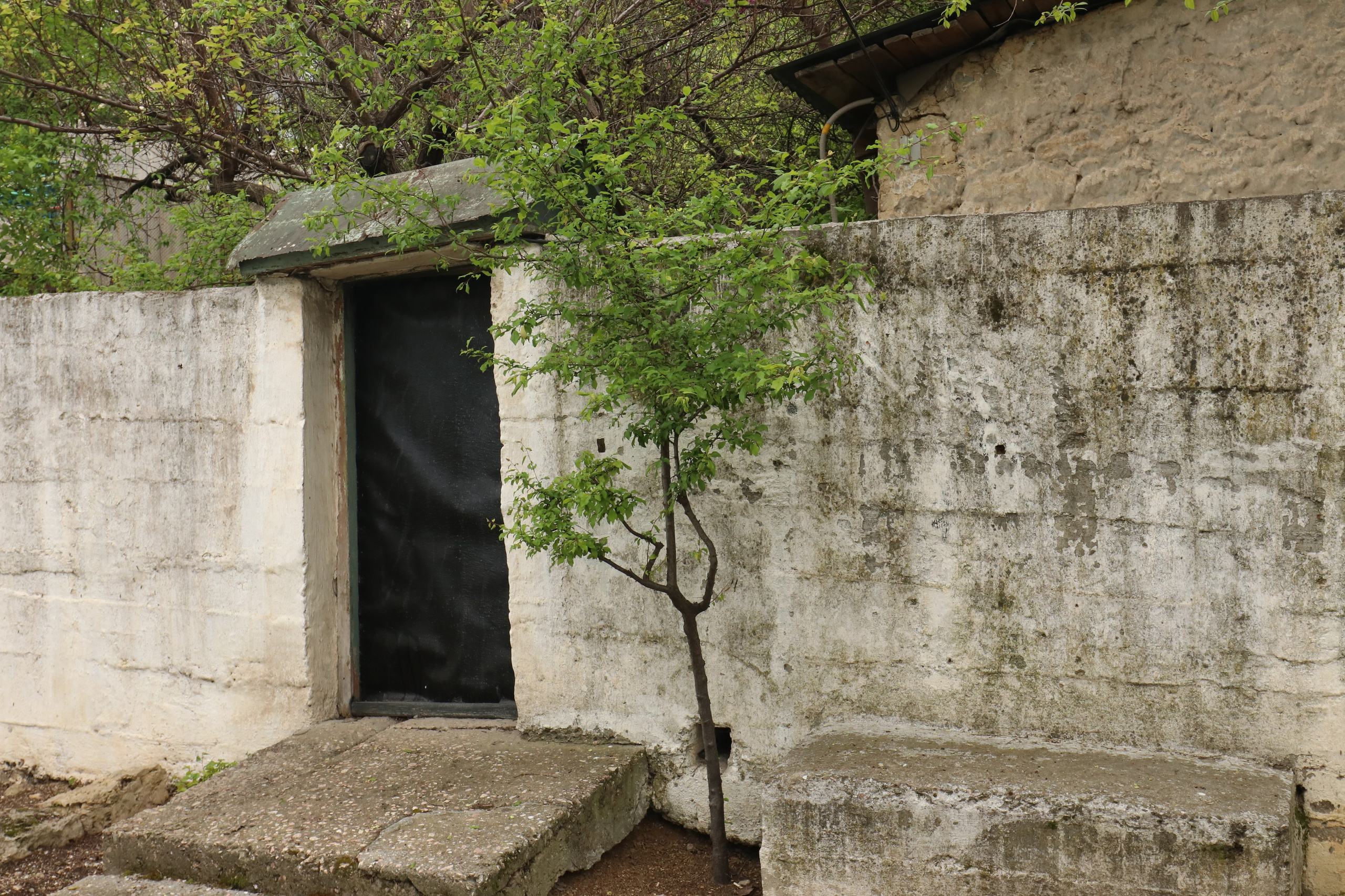 Крым. ЮБК (Севастополь, Кастрополь, Ялта). Май 2023. Путешественник-фотограф из Санкт-Петербурга Татьяна Свистулина