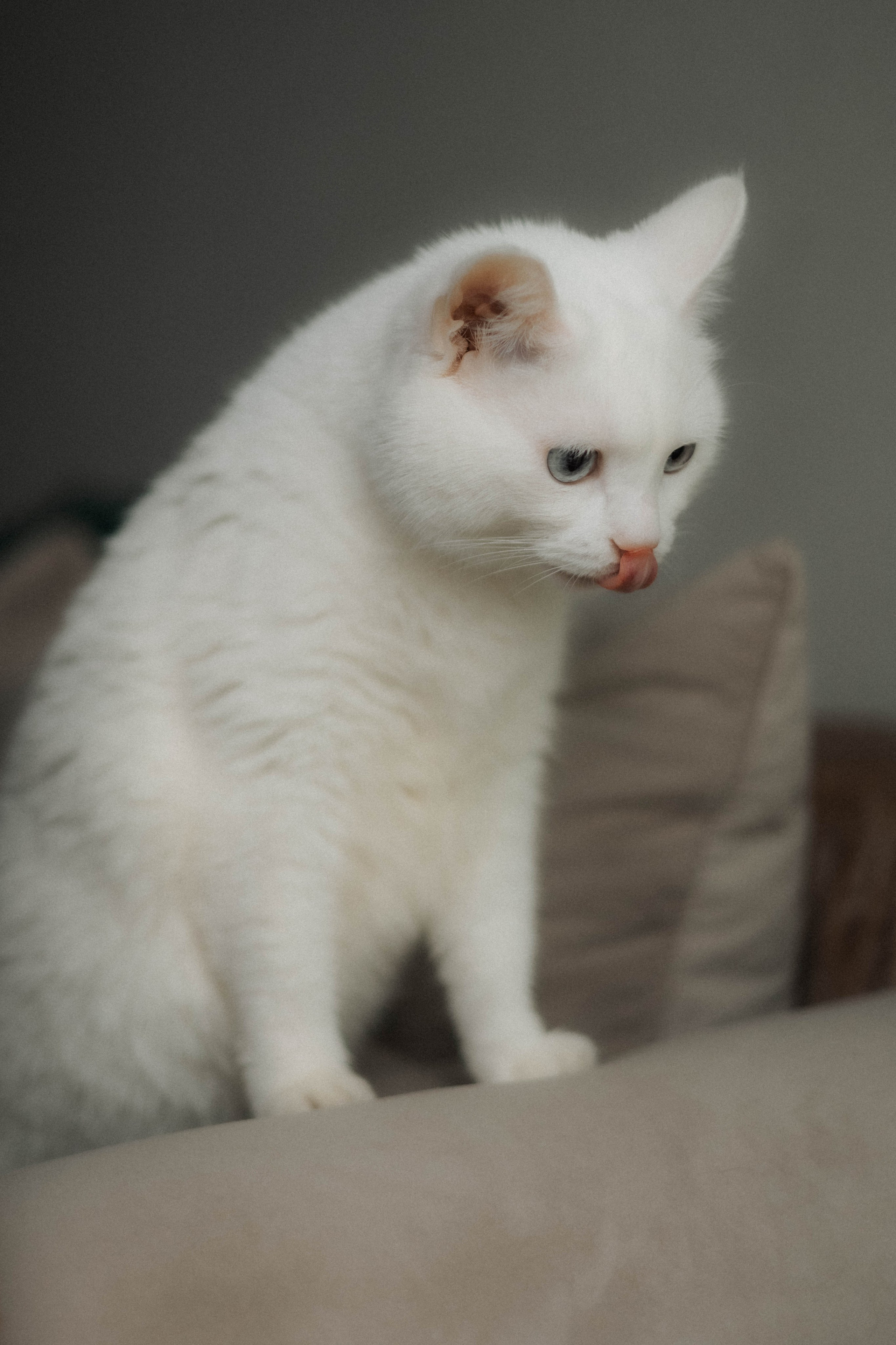 Татьяна. Семейный фотограф в Ижевске Даша Денисова