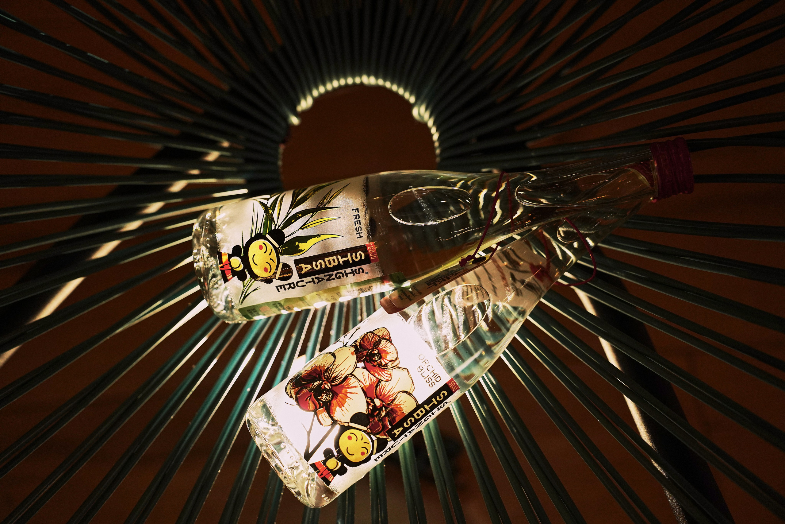 Хэллоуин 2025. Фотограф