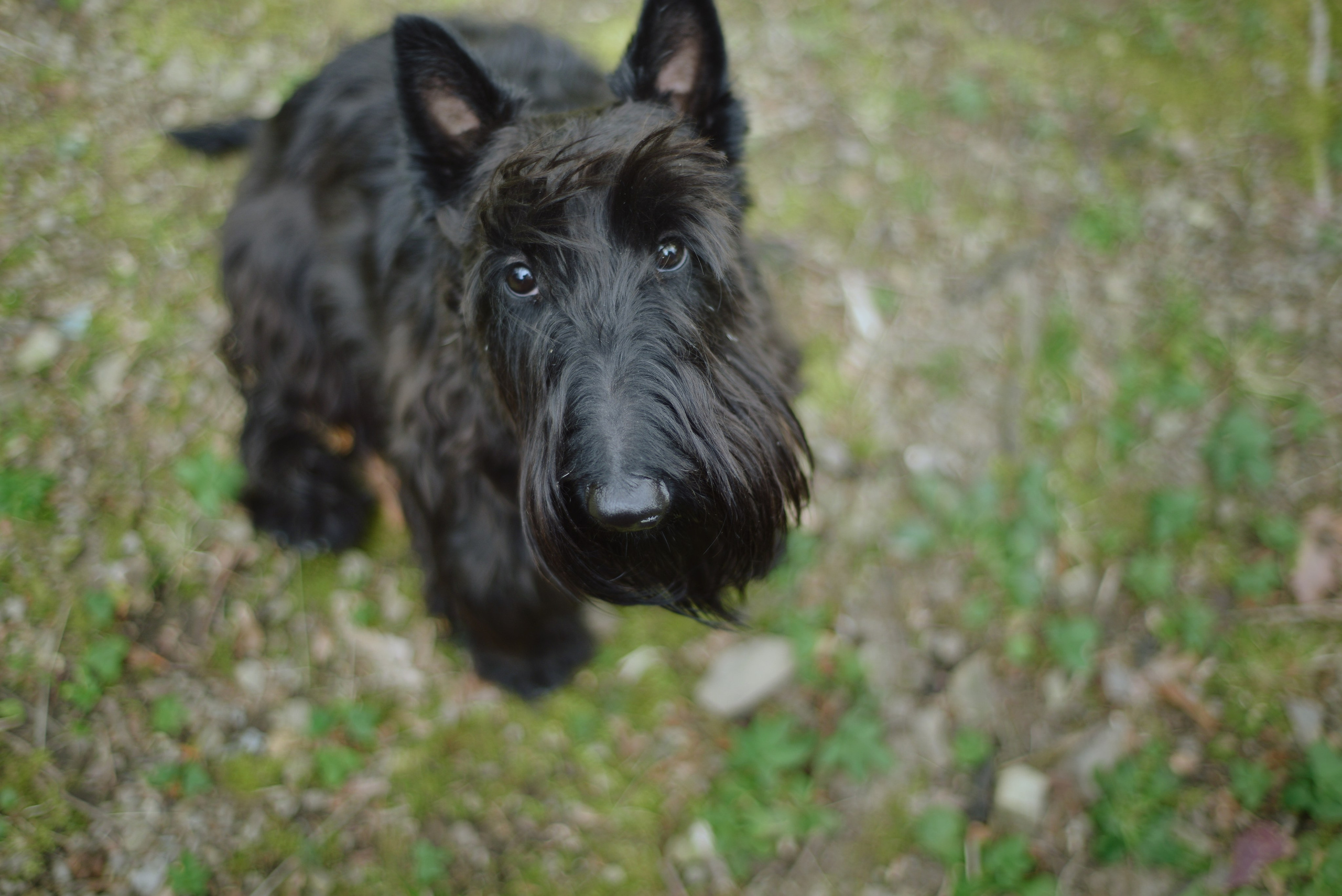 Животные. Фотограф • Елена Миронова