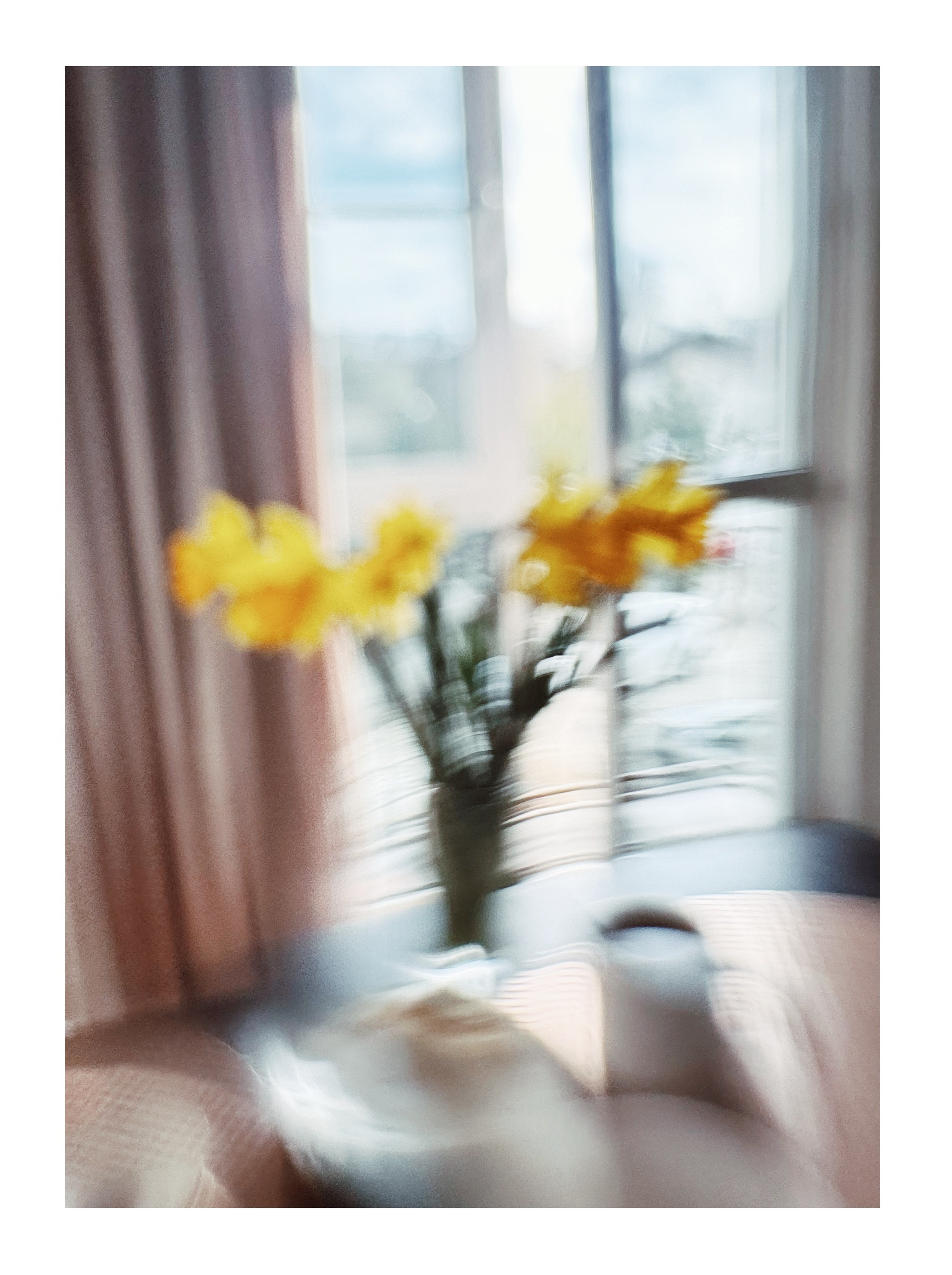 Портрет. Фотограф • Елена Миронова