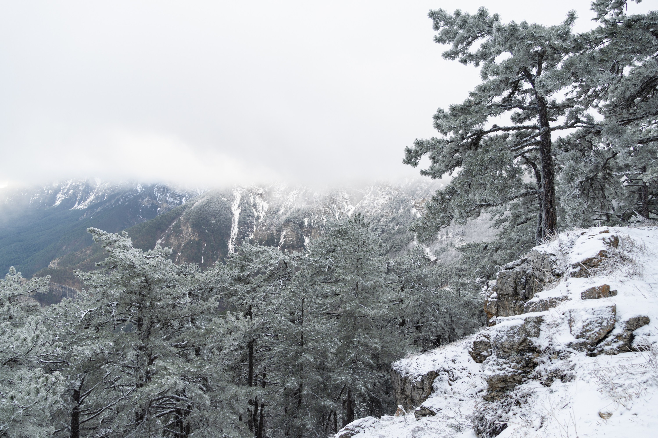 Пейзаж от Ольги Пановой. Интерьерный и архитектурный фотограф в Москве Панова Ольга