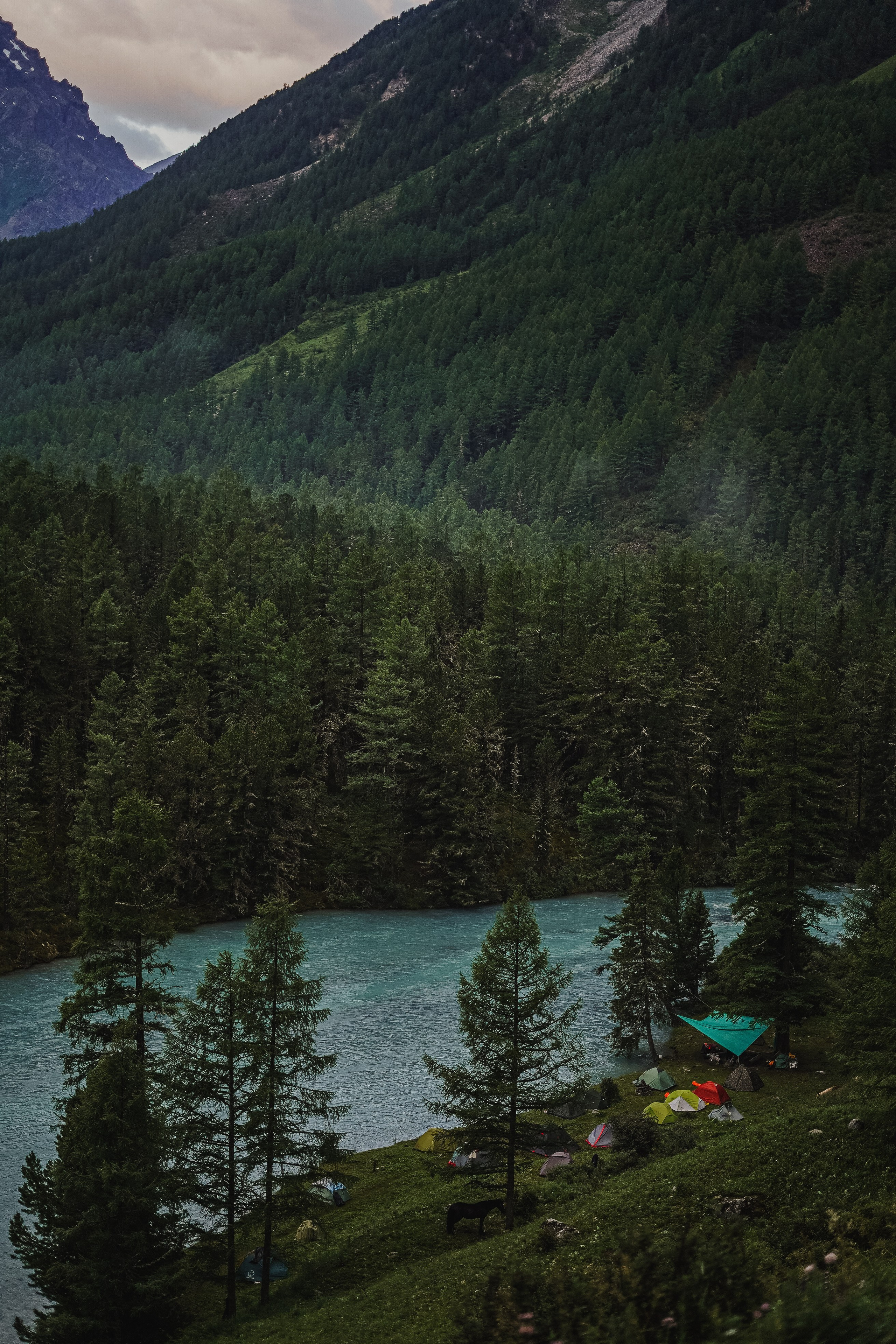 Алтай, поход к Белухе 2023. Фотограф Ольга Пучкова