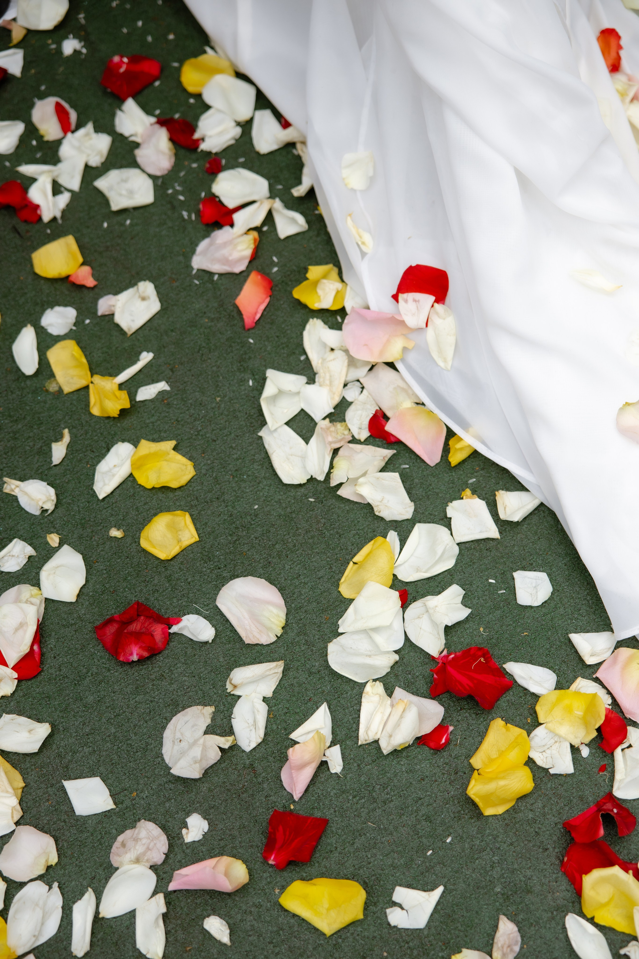 Илья и Евгения. Свадебный фотограф Анна Бабахина