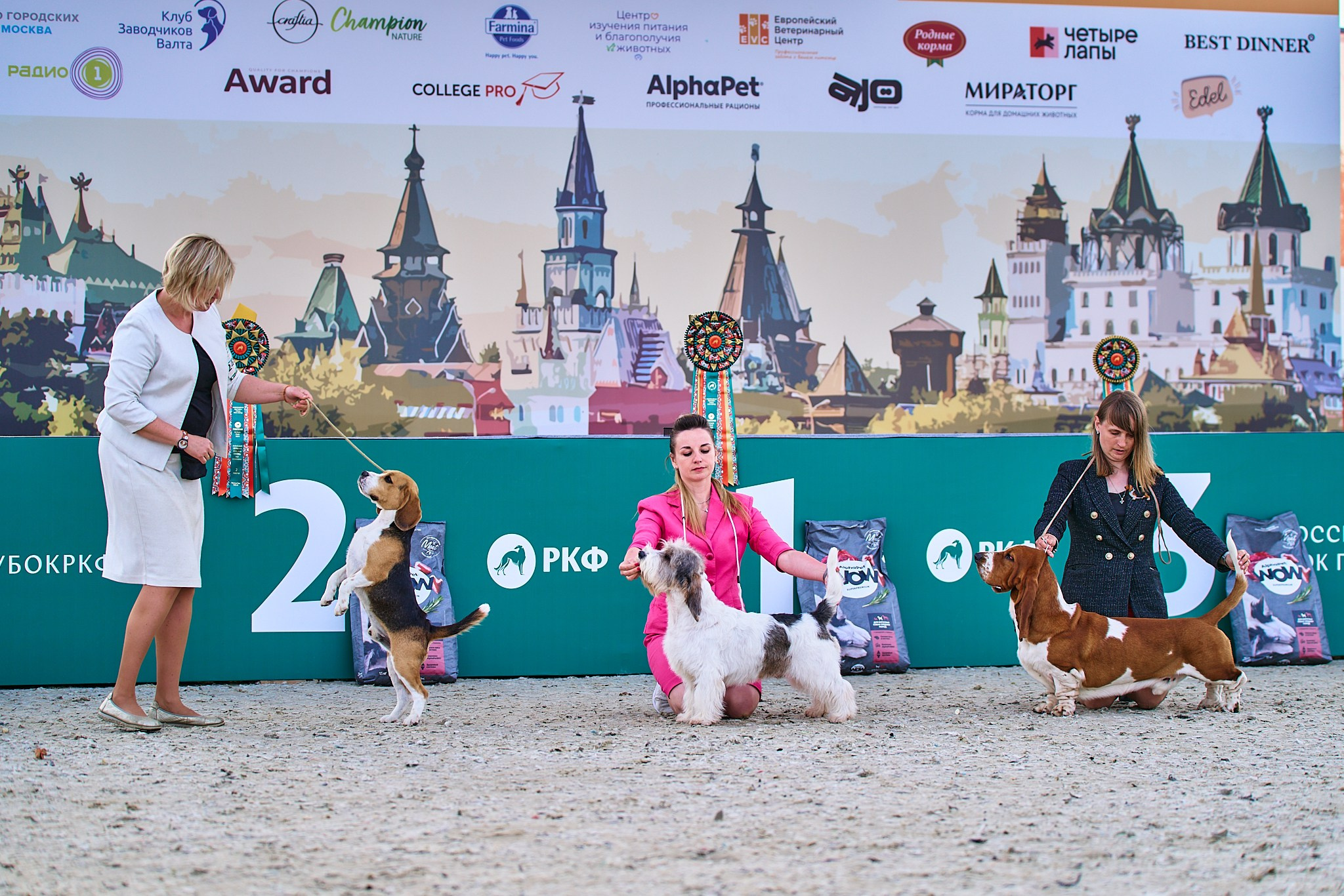 08.06.2024 «РОССИЯ. КУБОК РКФ 2024»