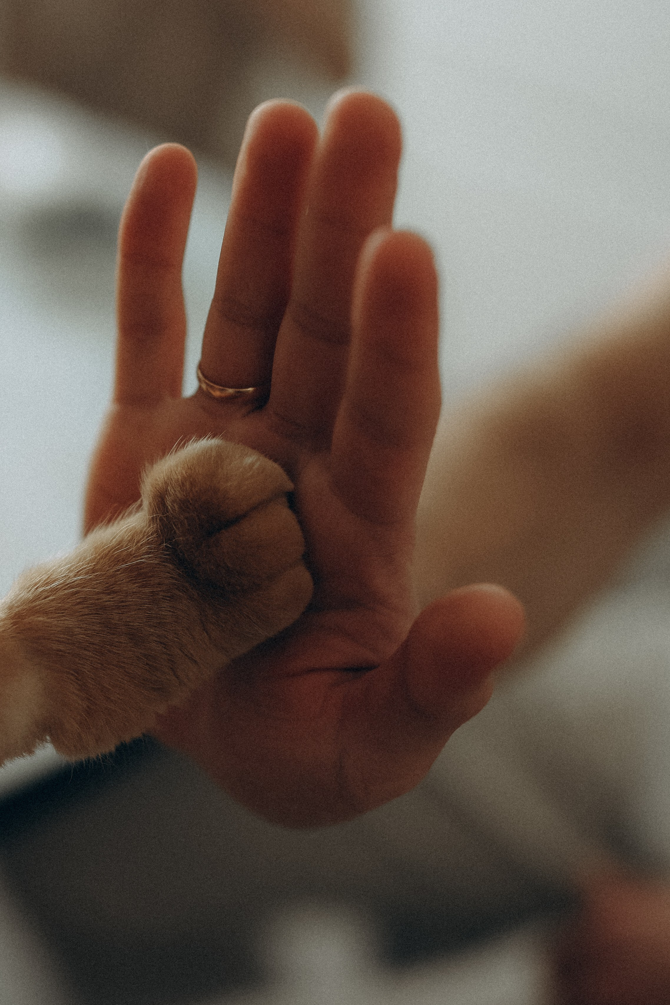 Про любовь. Семейный и портретный фотограф из Казани