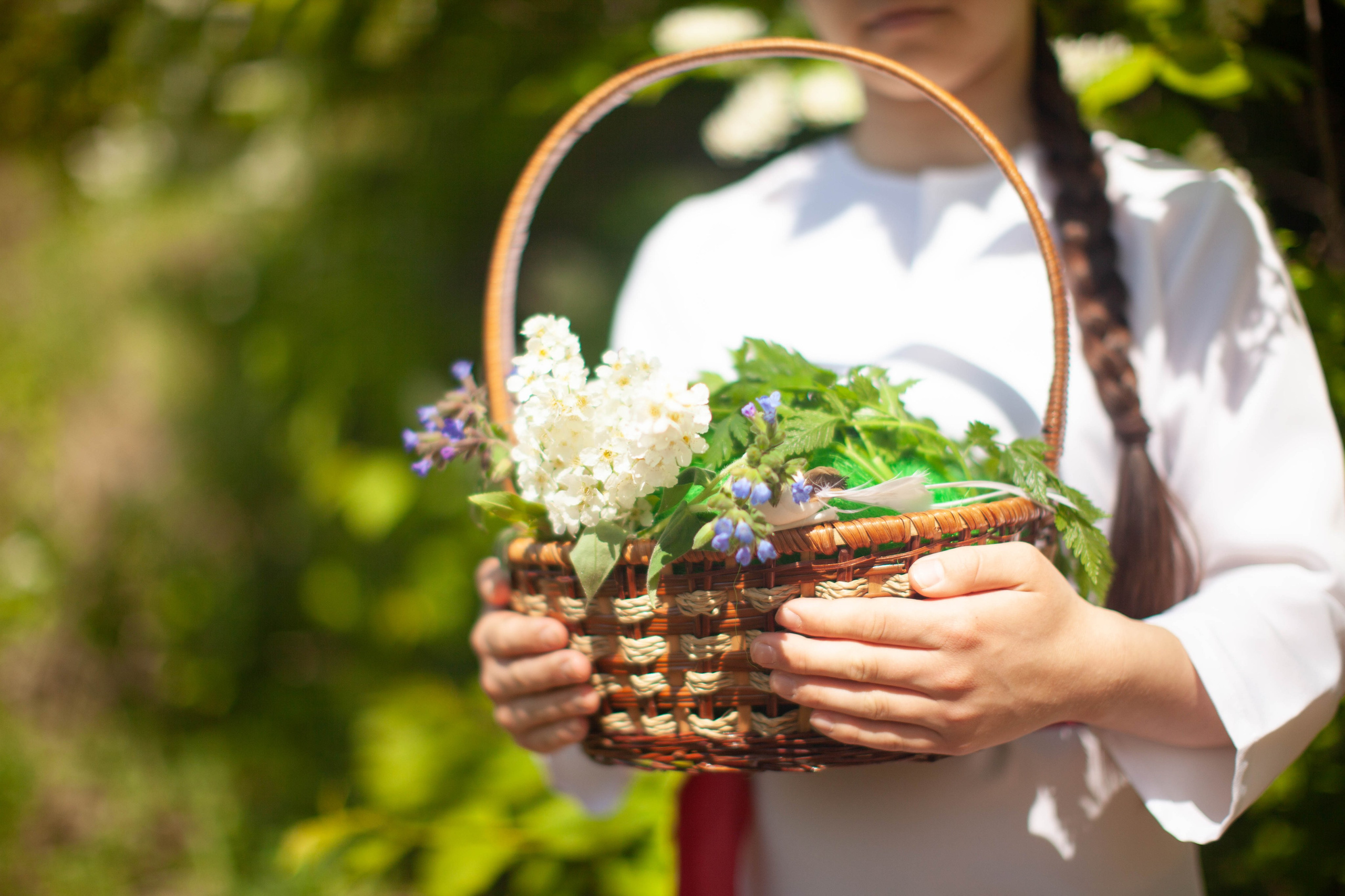 Летний день. Art my Pho