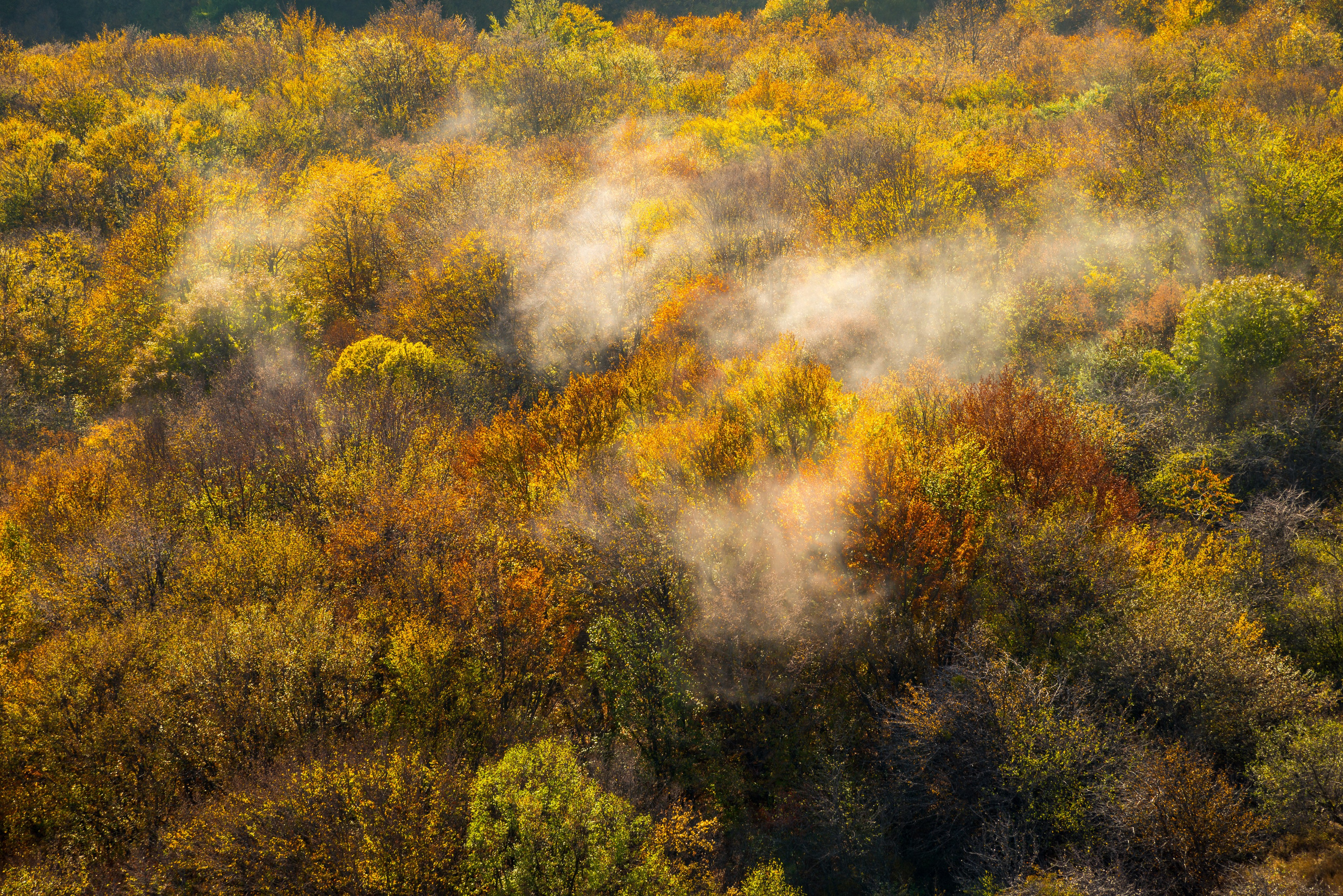 Путешествие по южному берегу Крыма в начале осени. Пейзажный фотограф Сергей Пестерев. Фото природы